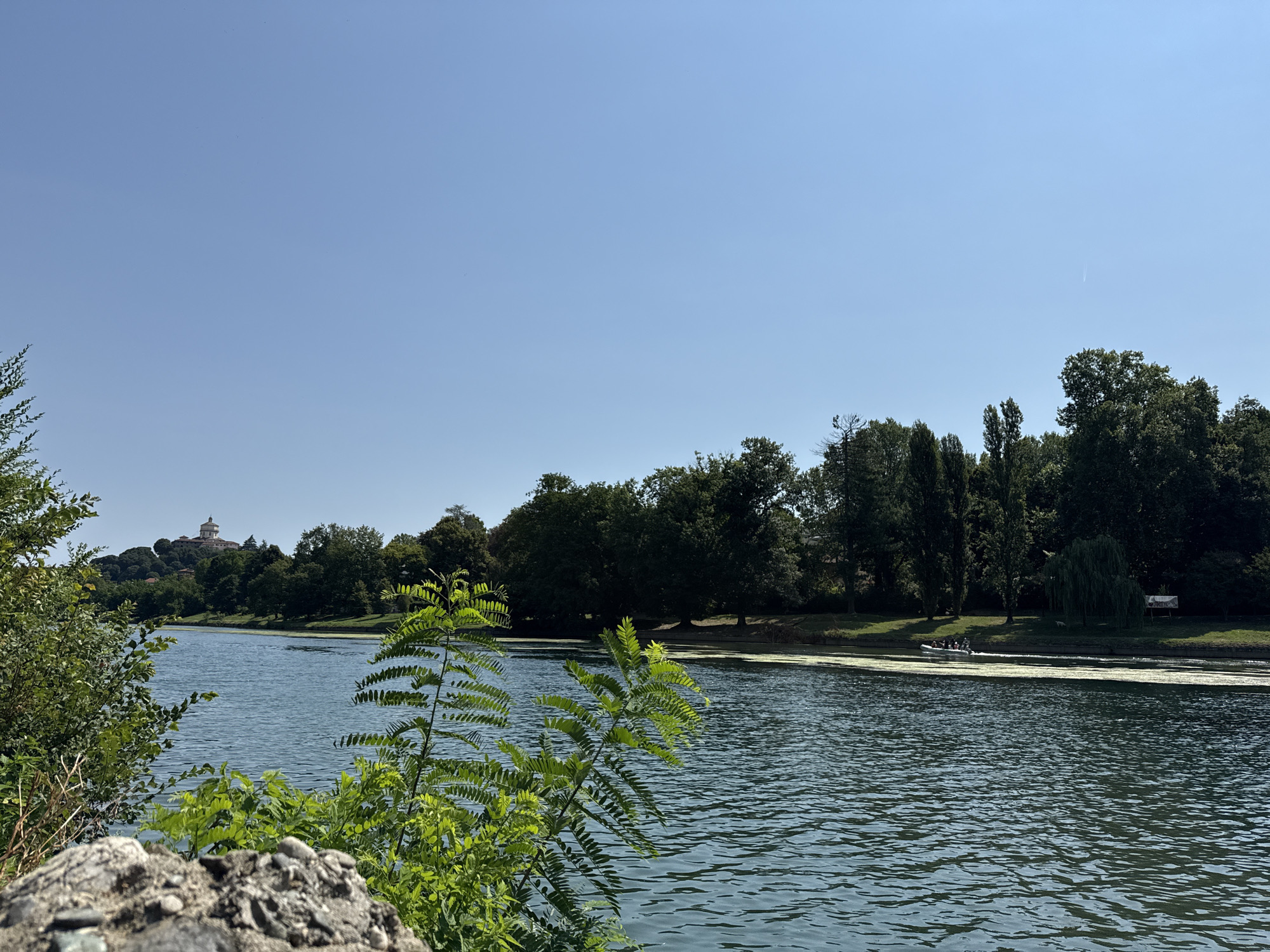 A wide shot captures a serene river scene on a clear day, with lush green trees lining the far bank. In the distance, a prominent building with a dome stands atop a hill, silhouetted against the light blue sky. The river's surface is a deep blue, rippled by a gentle breeze, and a thin line of green vegetation floats on the water. In the foreground, the rough texture of rocks and the feathery leaves of green plants frame the view. On the river, a white boat with several people is visible, moving slowly. The overall impression is one of tranquility and natural beauty within an urban landscape.
