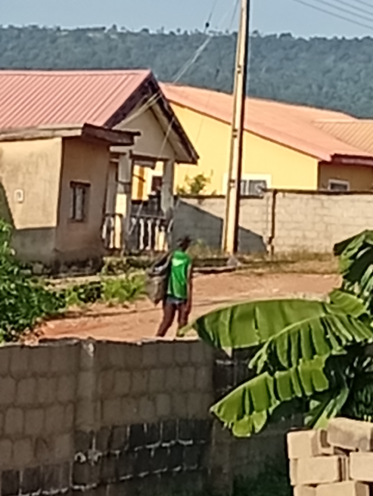 A person wearing a green shirt and dark shorts walks on a dirt road in an outdoor setting. The person is carrying a bundle on their shoulders. In the background, there are buildings with red and yellow roofs, a brick wall, and lush green foliage, including large banana leaves in the foreground. A utility pole is also visible. The scene appears to be in a residential area with a hilly, tree-covered landscape in the distance.