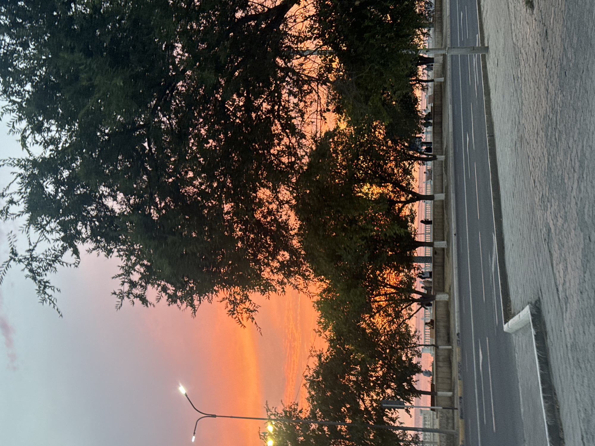 The image captures a coastal scene in Aktau, Kazakhstan, during a vibrant sunset. The sky is ablaze with hues of orange and pink, transitioning to a softer lavender at the top. A tall, modern streetlamp with two illuminated bulbs stands on the left side of the frame, its light cutting through the dusky atmosphere.
In the mid-ground, a line of trees with dark green foliage forms a silhouette against the colorful sky. Beyond the trees, a white ornamental fence borders a promenade where several figures are scattered, suggesting a public gathering or leisurely stroll. The sea is visible behind the fence, reflecting the warm tones of the sunset.
In the foreground, a paved road with clear white lane markings runs horizontally across the image. The road appears to be a multi-lane thoroughfare, possibly a coastal highway. The pavement on the right side of the road consists of interlocking grey concrete blocks, indicating a sidewalk or pedestrian area. The overall impression is one of a city embracing its natural beauty as day transitions into evening.