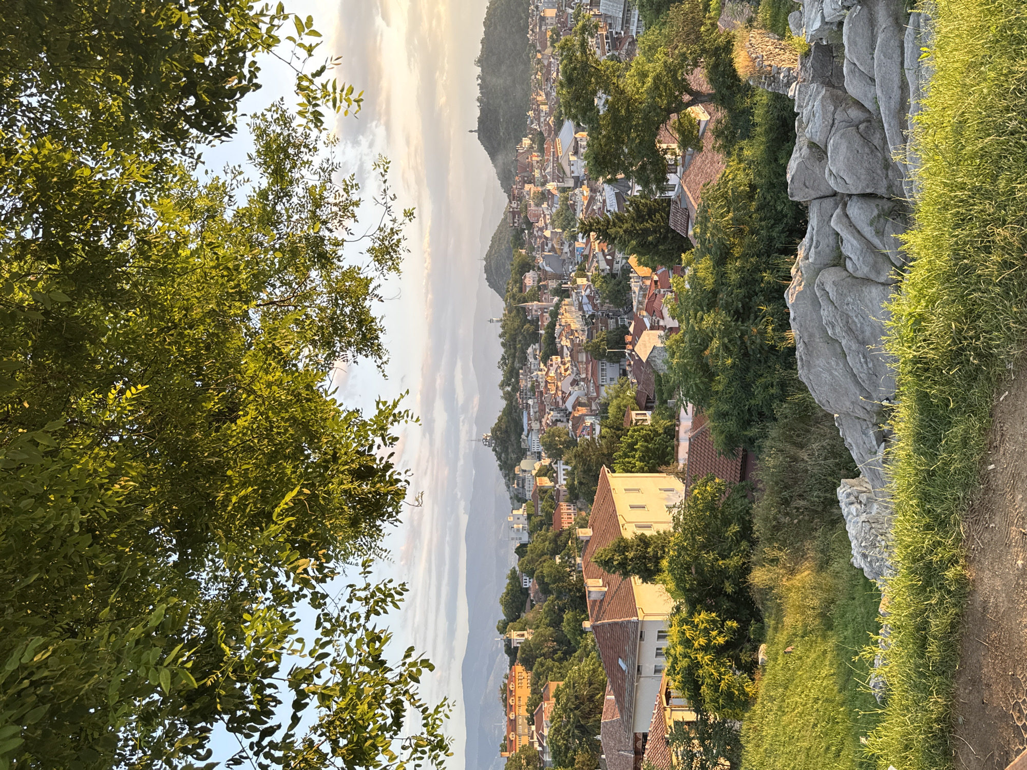The image captures a panoramic view of the city of Plovdiv, Bulgaria, at what appears to be either sunrise or sunset, indicated by the warm, directional light. The upper portion of the frame is dominated by a canopy of green deciduous leaves, which are brightly illuminated by the low sun, creating a natural frame for the cityscape below. The sky transitions from a light blue on the left to a pale, cloud-dappled expanse with hints of orange and pink on the right horizon, suggesting dawn or dusk.
The midground features a dense urban landscape characterized by numerous buildings with predominantly red-tiled roofs. The architecture varies, but many structures are light-colored (yellow, white, cream), with multiple windows and balconies. Several distinct hills, known as "tepes" in Plovdiv, are visible. On the central-left hill, a prominent yellow building with a red roof and multiple dormer windows is seen alongside a white church tower with a green dome. Further to the right, another significant hill is topped by a tall, slender monument, identifiable as the Alyosha Monument on Bunardzhik Hill. In the far background, a hazy range of mountains stretches across the horizon. Green trees and dense foliage are interspersed throughout the city, particularly on the slopes of the hills and between buildings.
The foreground consists of a gently sloping area. On the left, a vibrant patch of green grass is brightly lit, creating distinct shadows. On the right, large, irregular grey boulders are scattered across the ground, partially covered by sparse grass and small plants, suggesting an ancient or natural rock formation. No people are visible in the scene. The overall impression is one of a historic city nestled among hills, bathed in soft, golden light.