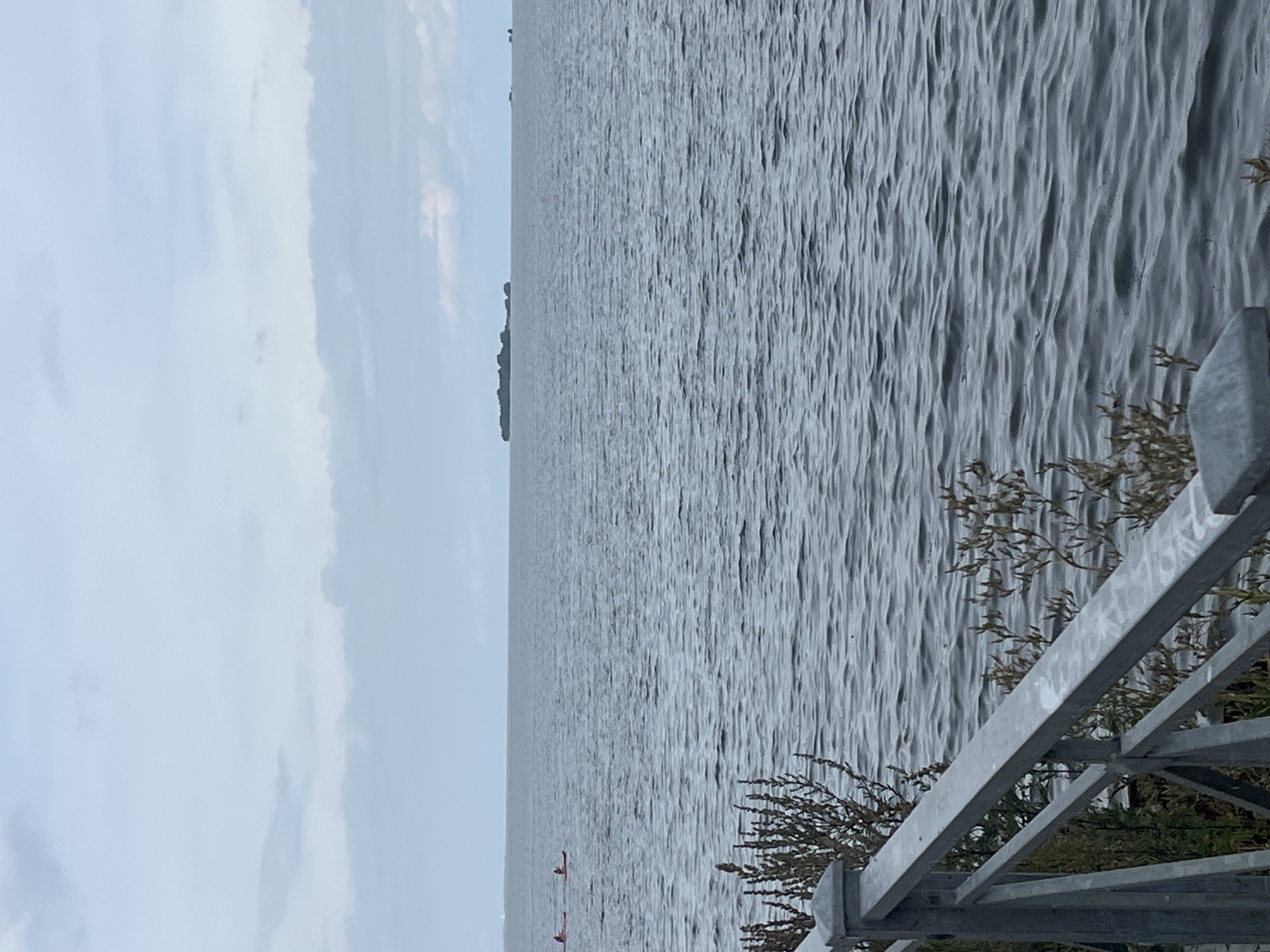 This image shows a body of water under a cloudy sky. In the foreground, a gray metal railing runs along the edge of a paved area. Beyond the railing, dry, wispy vegetation grows near the water's edge. The water itself is choppy, with small waves. Two people are visible in the distance, kayaking on the water. Further in the distance, a small, green island is visible on the horizon. The overall scene is somewhat overcast and muted in color. This scene is not located in Saint Petersburg, Russia; it depicts a natural body of water with a developed edge, possibly a lake or a bay.