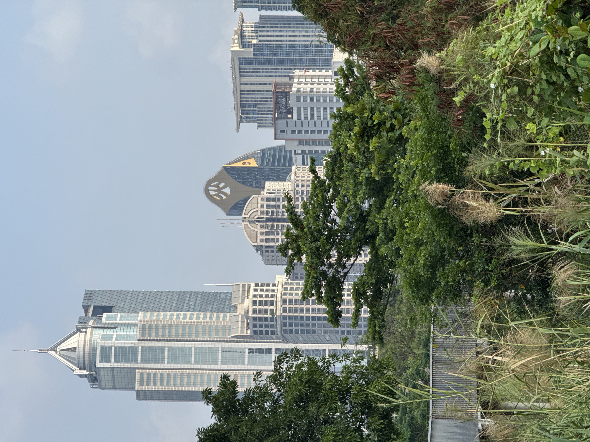 The image presents a view of the Bangkok skyline, obscured by foliage in the foreground. Tall buildings dominate the background, including a distinctive structure with a golden emblem atop it. Dense greenery, including trees and tall grass, fills the lower portion of the frame, partially obstructing the view of the buildings. The sky is a light blue. The image is oriented sideways.