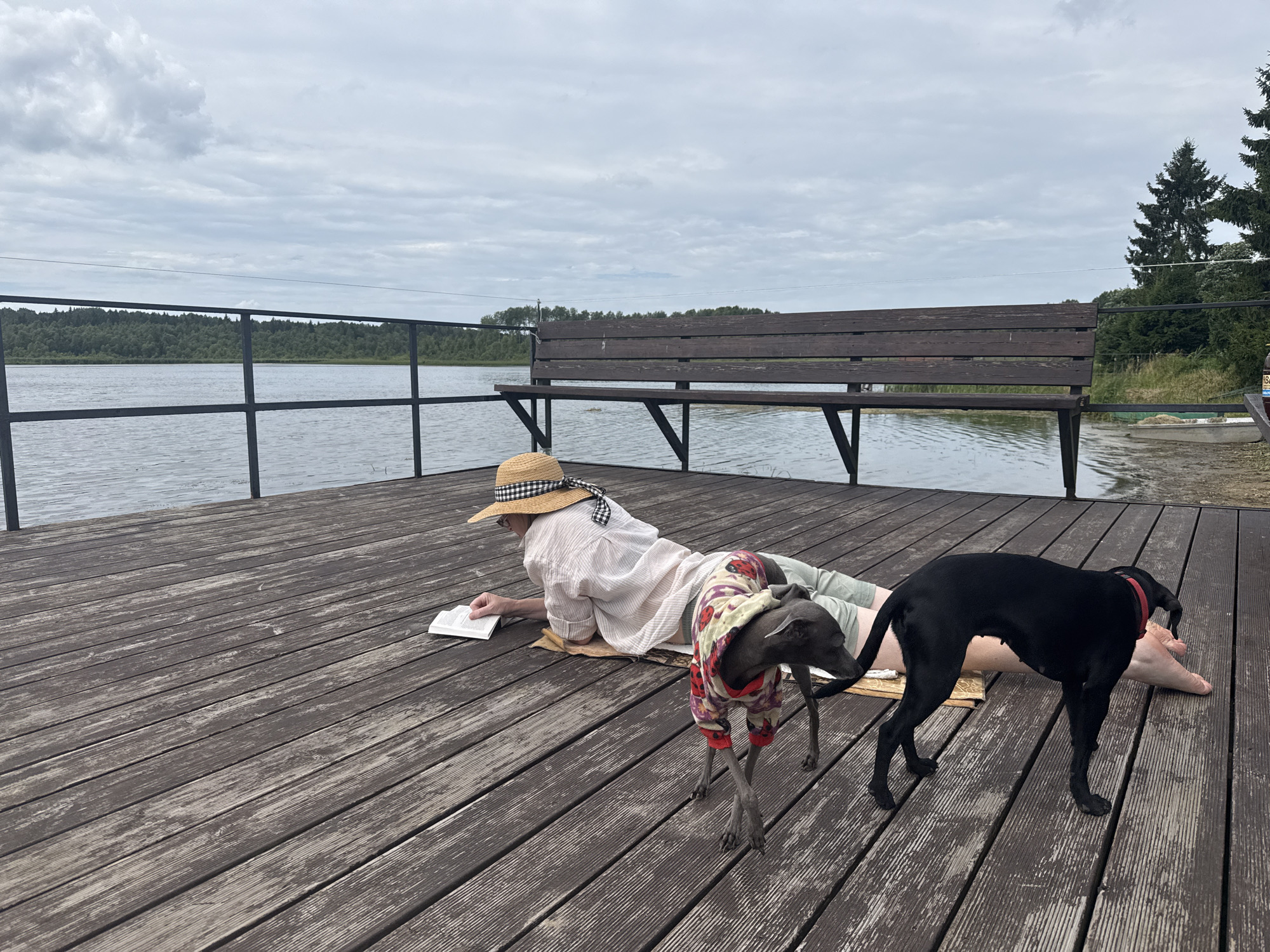 In Chikino, Russia, on a wooden pier, two dogs and a person are present. One dog, a black Labrador, stands near a person lying on their side on the pier. The person is wearing light-colored pants. A second dog, an Italian Greyhound wearing a patterned sweater, stands to the left of the black dog, facing away from the viewer. The person is wearing a straw hat with a black and white checkered ribbon and is reading a book. They are lying on a tan mat. A wooden bench is visible in the background, situated above a body of water bordered by trees. The sky is overcast with a mix of gray and white clouds.