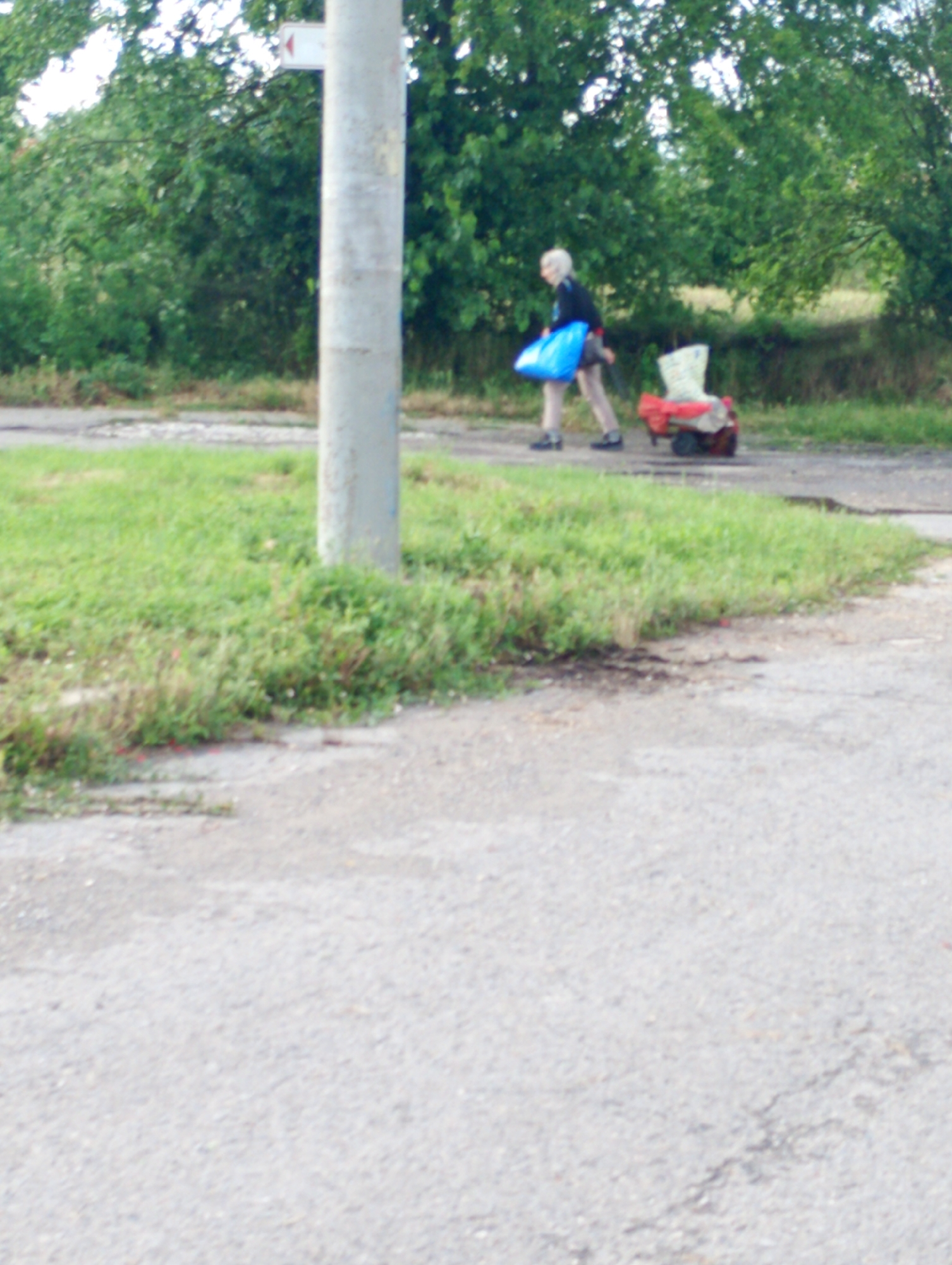 The image captures an outdoor scene, likely in a rural or semi-rural setting in Roza, Bulgaria, during daytime with diffused light, possibly indicating an overcast sky.
The central figure is an elderly person, appearing female, with short, light-colored hair. She is dressed in a dark top, light-colored trousers, and dark shoes. She is walking from left to right, carrying a bright blue bag in her left hand. With her right hand, she is pulling a small, red, four-wheeled cart or wagon that contains some light-colored items, possibly a sack or bag.
A prominent, tall, light-colored concrete or metal pole stands to the left of the image's center. Attached to the upper part of this pole is a small, rectangular white sign with a clear red arrow pointing to the right.
The ground consists of a paved surface, resembling an asphalt or concrete path or road, with patches of green grass and weeds growing alongside it, especially in the midground and foreground. The background is filled with lush green foliage from trees and bushes, suggesting a natural or wild area behind the path. No strong shadows are present, indicating soft, even lighting. No discernible text beyond the arrow on the sign is visible. The scene depicts a person engaged in the activity of walking and transporting items.