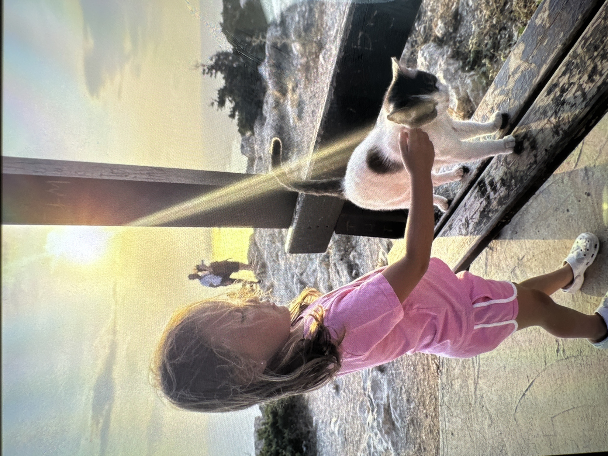 A young girl, wearing a pink t-shirt and shorts, stands on a stone pathway. She is petting a black and white cat that is standing on a wooden bench. The girl's body is angled away from the camera, and she is looking down at the cat. The cat is facing away from the camera, with its tail curled upwards. In the background, two people are visible in the distance, walking near the sea. The scene appears to be a coastal area with rocky terrain and sparse vegetation. The sun is setting, casting a warm glow over the landscape, and creating lens flares that streak across the image. The location is identified as Peyia, Cyprus.