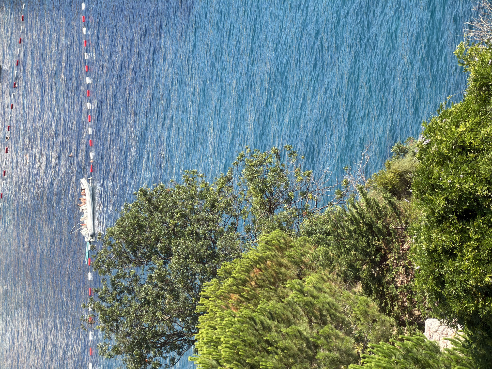 The image depicts a body of water, likely the Adriatic Sea, with a shoreline of lush green vegetation and trees in the foreground. A small white boat with several people on board is visible on the water, which is demarcated by a line of red and white buoys. The water is a vibrant blue, rippling with sunlight. The vegetation appears to be a mix of pine trees and deciduous trees, with some smaller bushes and flowering plants closer to the water's edge. The scene suggests a tranquil, sunny day at a coastal location. While the location is stated as "Trap, Montenegro," the image itself doesn't contain any overt landmarks or identifiers that would confirm this specific location without external information. The presence of the boat and swimmers suggests a recreational area.