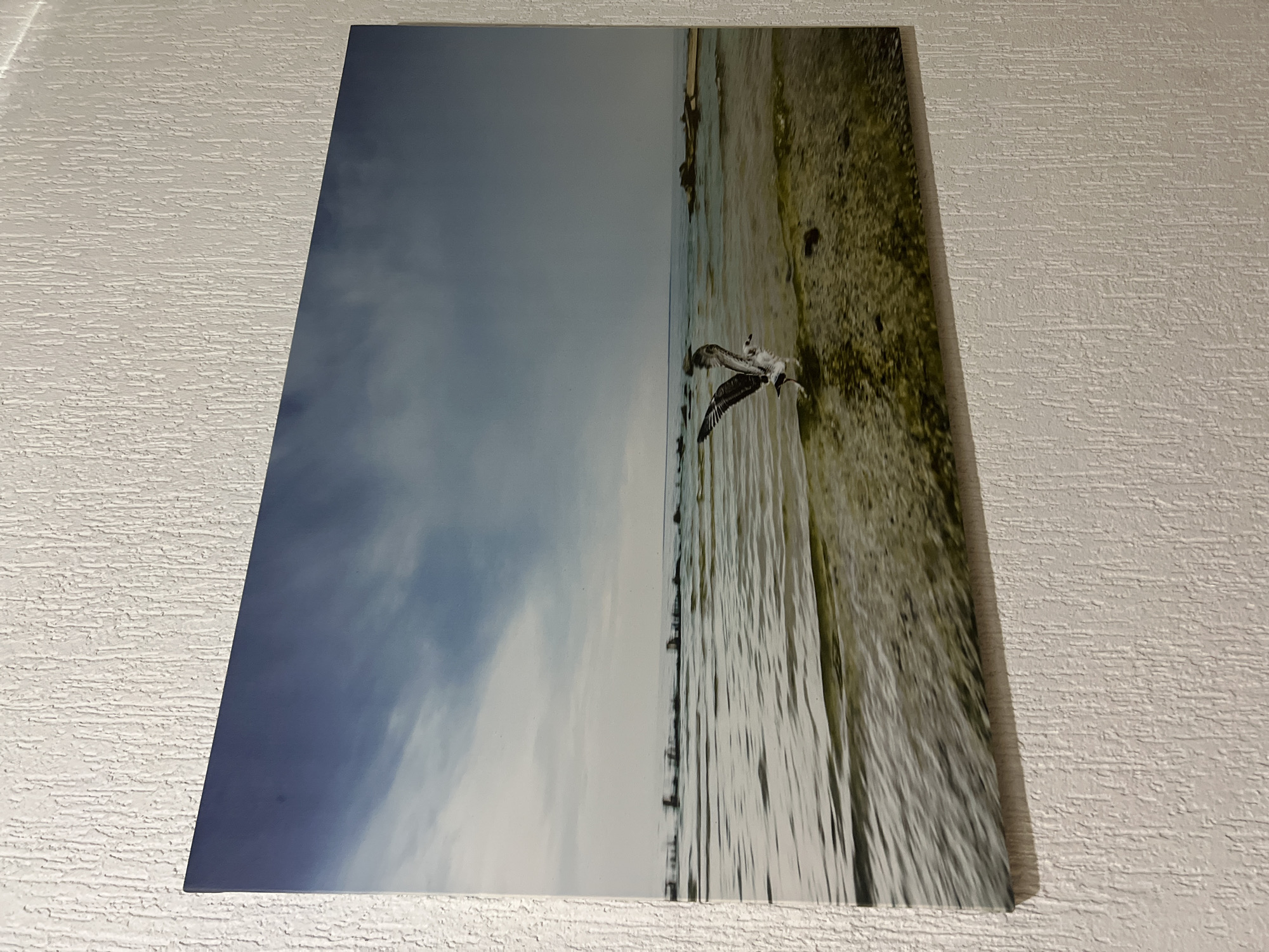A framed photograph is displayed on a textured wall. The photograph depicts a seagull in mid-flight at the edge of the water. The seagull is positioned in the lower right quadrant of the image, with its wings spread wide. The water in the foreground appears shallow and somewhat murky, with visible ripples and a sandy or rocky bottom. In the background, there is a calm sea or bay extending to the horizon, with a hazy sky above. A line of dark, submerged or partially submerged objects, possibly pilings or rocks, stretches across the middle ground. The overall lighting suggests an overcast or early morning/late evening scene. The location is identified as the city of Yeysk, Russia.