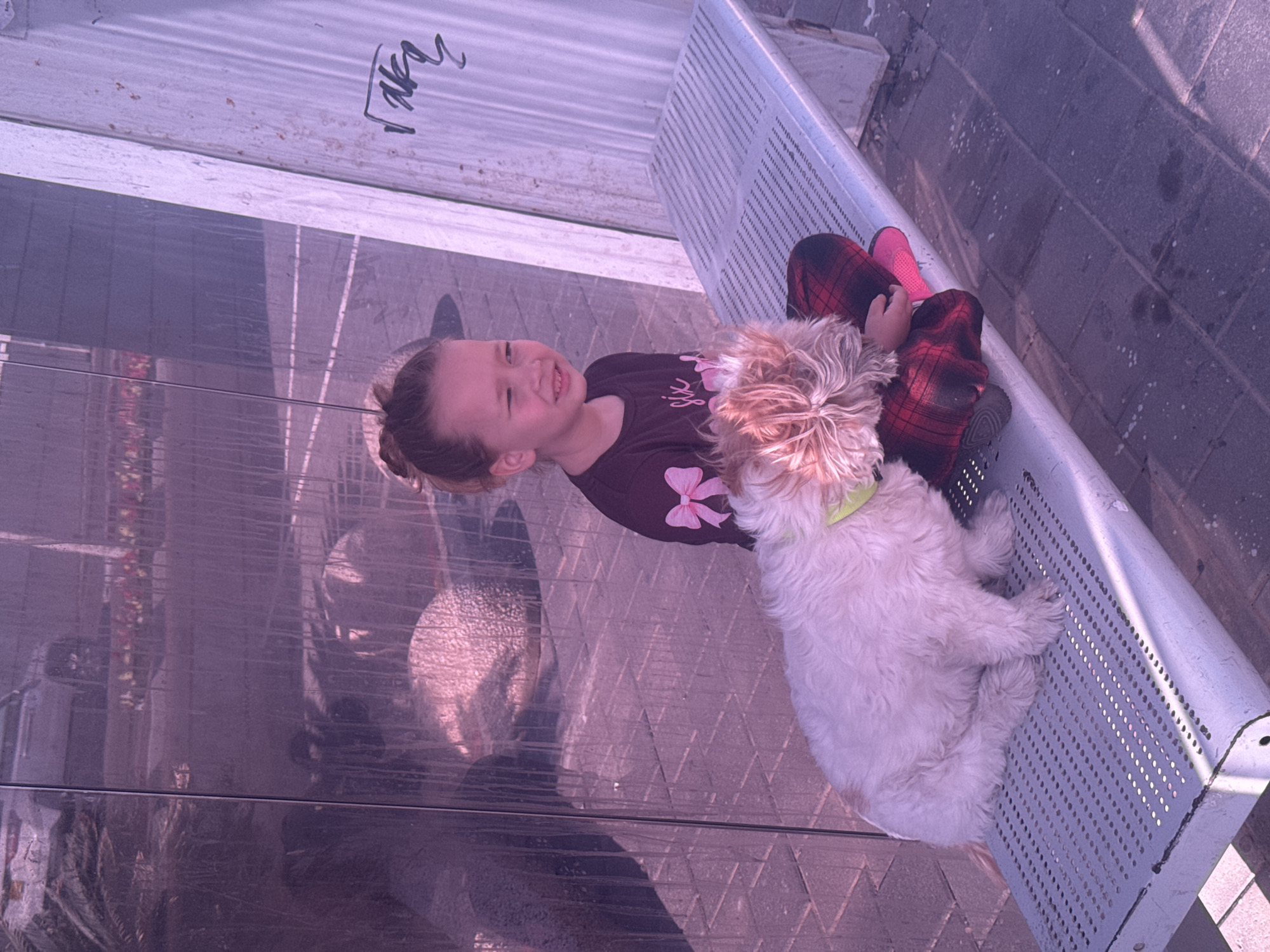 A young girl and her small, fluffy dog are captured in a sunny outdoor scene, likely in Bat Yam, Israel. The girl, with light brown hair pulled back, is seated on a light-colored, perforated metal bench, smiling broadly. She wears a dark long-sleeved shirt adorned with a pink bow design, and red plaid pants with pink socks or shoes. Her beige and white dog, wearing a light green collar, is comfortably resting on her lap or beside her on the bench. Behind them, a large transparent or translucent panel suggests they might be at a bus stop or a similar sheltered area. The ground is paved with dark tiles. The image is bathed in a distinct purple-pink hue, indicating either a strong filter or lighting conditions. In the upper left corner, black graffiti, resembling a stylized 'fRaku' or similar script, is visible on the transparent panel. The time of day appears to be daytime, with clear, sunny weather. The girl's expression conveys happiness and contentment.