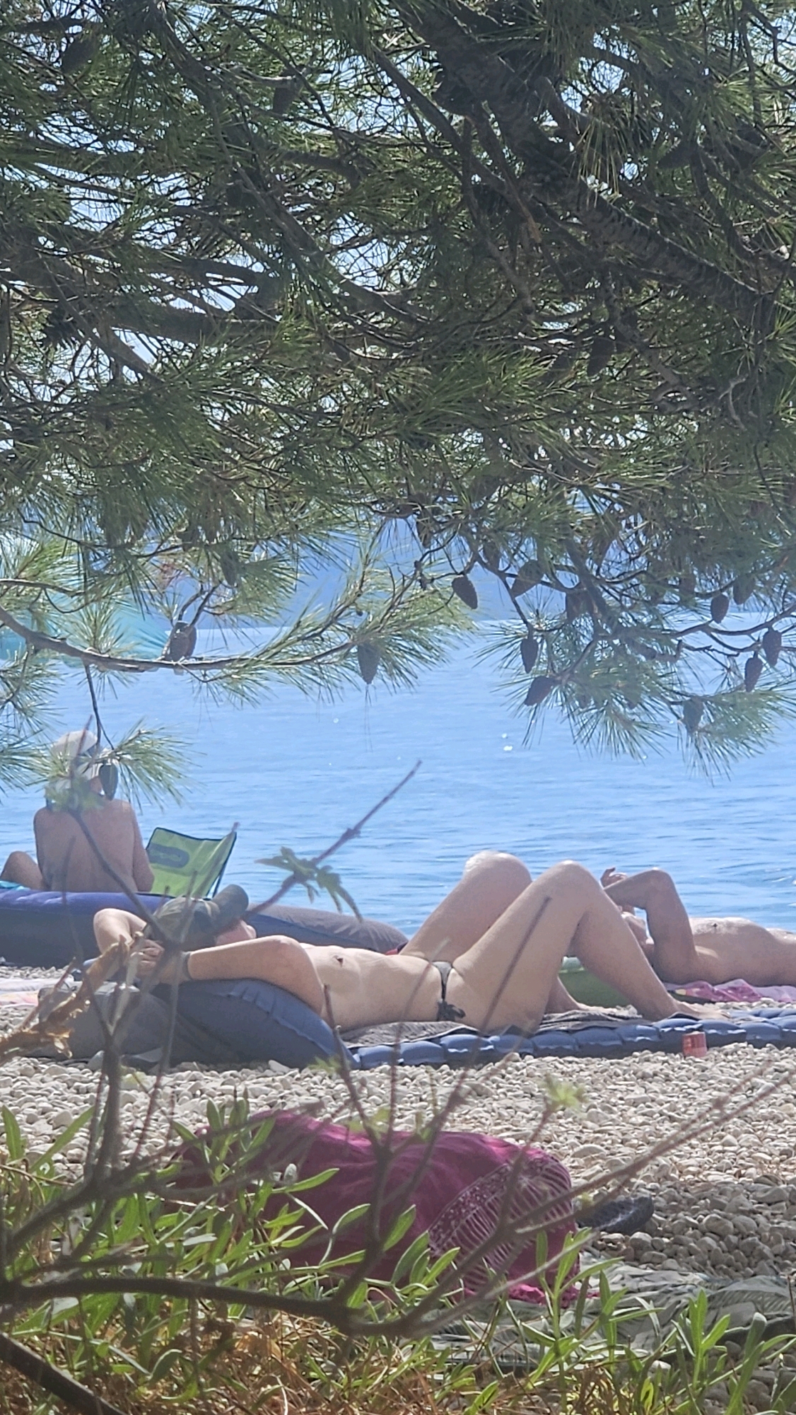 A group of people are sunbathing on a rocky beach in Općina Podgora, Croatia. The scene is partially obscured by the branches and needles of a pine tree. In the foreground, two individuals are lying on mats or towels, with one person on their back and the other on their stomach. Further back, another person is seated in a green chair, facing away from the camera. The sea is visible in the background, with a clear blue sky above. The overall impression is one of a relaxed summer day at the seaside.