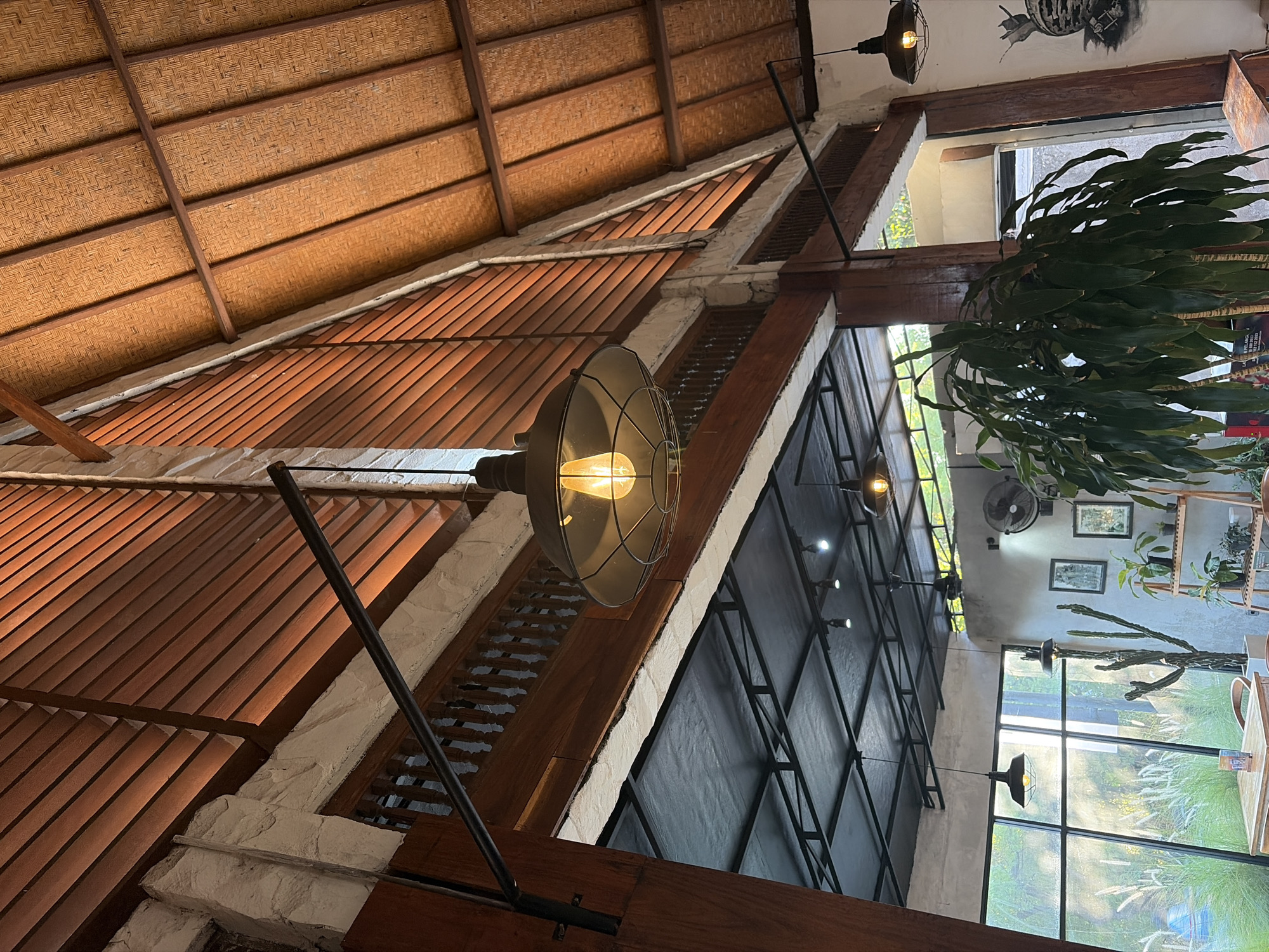 The image depicts the interior of a restaurant in Kubu, Indonesia. The ceiling features a unique design with woven bamboo panels and wooden beams, and a large industrial-style pendant light with an Edison bulb hangs prominently. The walls are a mix of exposed white stone and wooden slatted panels. Below, a black metal ceiling with recessed lighting is visible. Large windows offer a view of lush greenery and tall grass outside. Inside, the decor includes a wooden table and chairs, a tall cactus plant, a shelf with potted plants, and framed artwork on the wall. A ceiling fan is also visible. The overall ambiance suggests a rustic yet modern dining space.