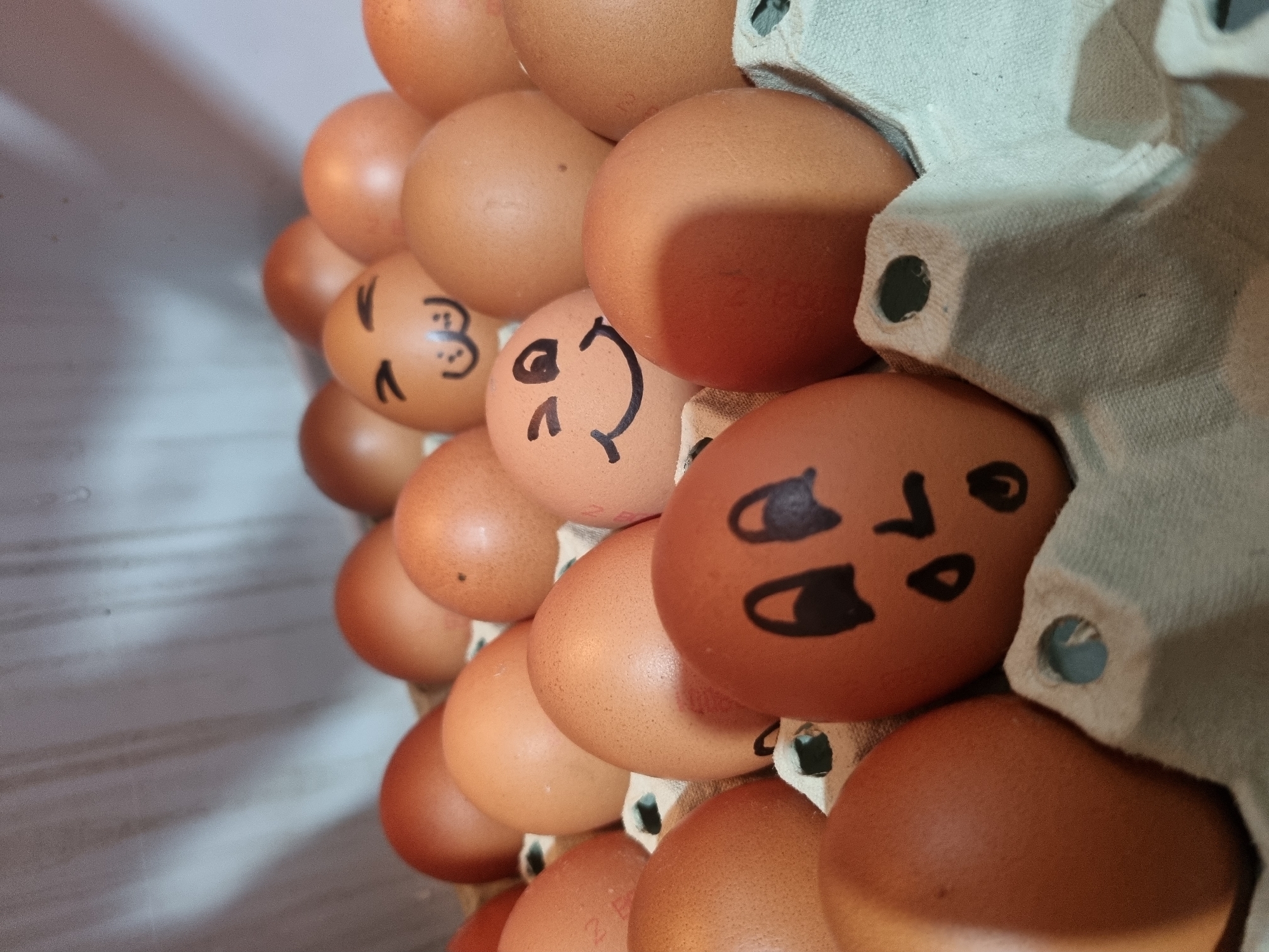 An egg carton filled with brown eggs, some of which have faces drawn on them in black marker. The eggs are inside a light grey, molded pulp egg carton. One egg has a face with wide eyes and a wide mouth. Another has a simple smiley face. A third has the number "3" written on it. The eggs are stacked tightly within the carton, filling all available spaces. The background appears to be a plain, light-colored surface. The image does not provide location context, so it's impossible to know if it was taken in Sofia, Bulgaria.