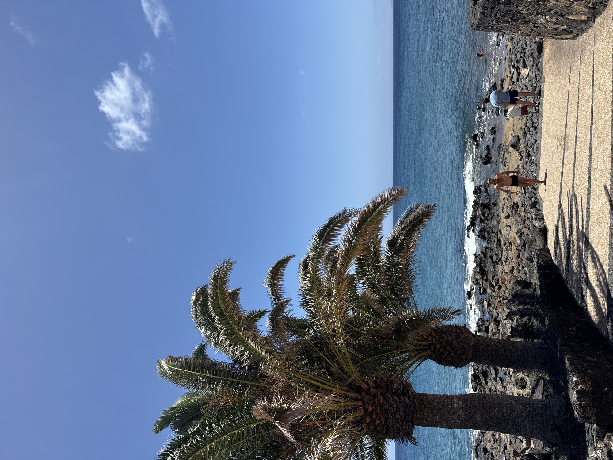 The image depicts a sunny coastal scene in Puerto Del Carmen, Spain, showcasing a clear blue sky and tranquil ocean. In the foreground, two prominent palm trees, with their dense green fronds, extend from the bottom of the frame, their foliage partially obscuring the sky.
To the right, a paved concrete pathway runs alongside a rugged, dark rocky shoreline. Bright sunlight casts distinct, elongated shadows from the palm fronds onto this pathway, indicating a mid-day or early afternoon setting. Along the rocky shore, two individuals are visible. One person, wearing a light blue top and dark shorts, is bent over near the water's edge. Further along the shore, another person, dressed in dark swimwear, stands upright, observing the sea. A third individual is partially submerged in the calm blue ocean.
The sea stretches across the mid-ground, meeting the horizon under a vast blue sky dotted with a few scattered white clouds. The water appears serene, with gentle waves lapping against the dark rocks of the coastline. The overall atmosphere suggests a peaceful, leisurely day at the beach or promenade. There is no visible text in the image.
