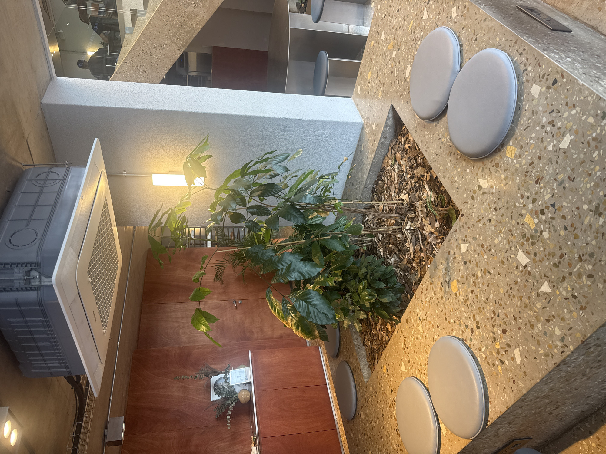 This image displays the interior of a contemporary commercial space in the city of Cape Town, South Africa, likely a cafe or lounge. The foreground features a built-in, rectangular planter bed filled with dark brown wood chips, housing a large, multi-stemmed green leafy plant. This planter is bordered by a raised concrete bench with a light grey terrazzo finish, incorporating various colored aggregates. Four light grey, oval-shaped cushions are placed on this bench, indicating seating.
Above the scene, a white Samsung cassette-style air conditioning unit is mounted on an exposed concrete ceiling, which also shows visible electrical conduits and a larger grey rectangular ventilation unit. A vertical, rectangular white wall-mounted light fixture illuminates the central plant from the right.
To the left, a dark red-brown wooden panel wall, possibly cabinetry, is visible. A light-colored counter runs along its base, displaying a vase with dried botanical elements and a framed photograph. To the right, a light grey textured pillar supports a terrazzo-finished concrete staircase with a transparent glass railing, leading to an upper level. Through the glass railing, two blurred individuals are partially visible on the upper floor; one person, wearing a dark cap, is seated at a table. Below the staircase, on the ground floor, a round silver table with two dark-seated stools is present. No direct interactions or specific actions are clearly discernible in the immediate foreground.