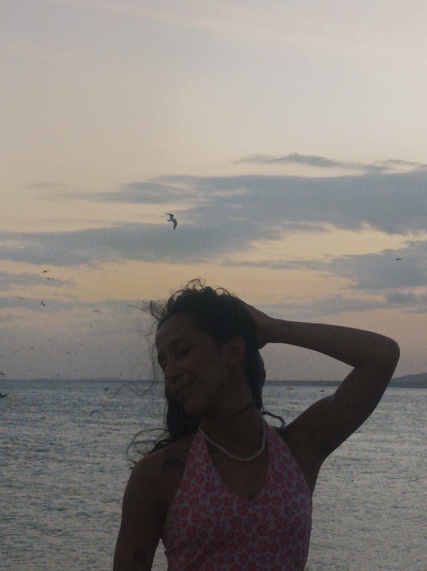 The image depicts a woman at dusk on a beach. She is standing near the water's edge, facing away from the viewer. Her head is tilted down and her arm is raised. She is wearing a pink and white floral halter top and a pearl necklace. The background consists of the ocean and the sky. There are birds flying in the sky. The location is likely a beach in or near the city of Porlamar, Venezuela.