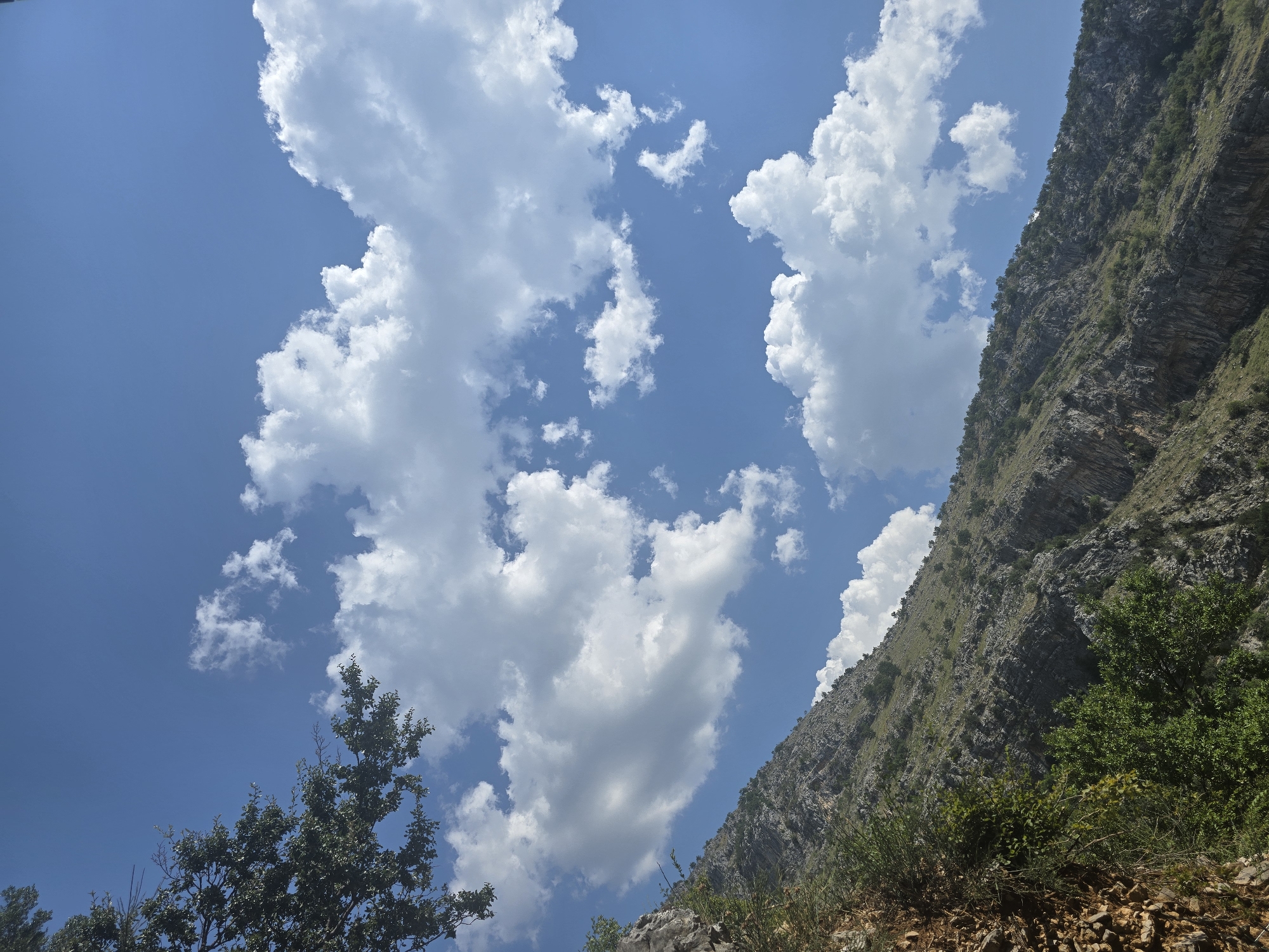 The image captures a steep, rocky mountainside with sparse vegetation, suggesting a rugged natural environment. The lower left of the frame shows a dense cluster of green trees and shrubs, with a rocky embankment to their left. As the view ascends the mountain, the terrain becomes increasingly barren, characterized by weathered rock formations and occasional patches of greenery. The upper portion of the image is dominated by a bright blue sky filled with scattered, fluffy white clouds. A single tree branch with dark green leaves extends from the upper left corner, framing the sky and mountain. The overall scene is one of a natural landscape bathed in daylight, possibly indicating an outdoor recreational area or a view from a hiking trail. While the image depicts a mountainous terrain, it does not provide specific visual cues to pinpoint its exact location within Podgorica, Montenegro. The geological features and vegetation are consistent with mountainous regions generally found around the city.