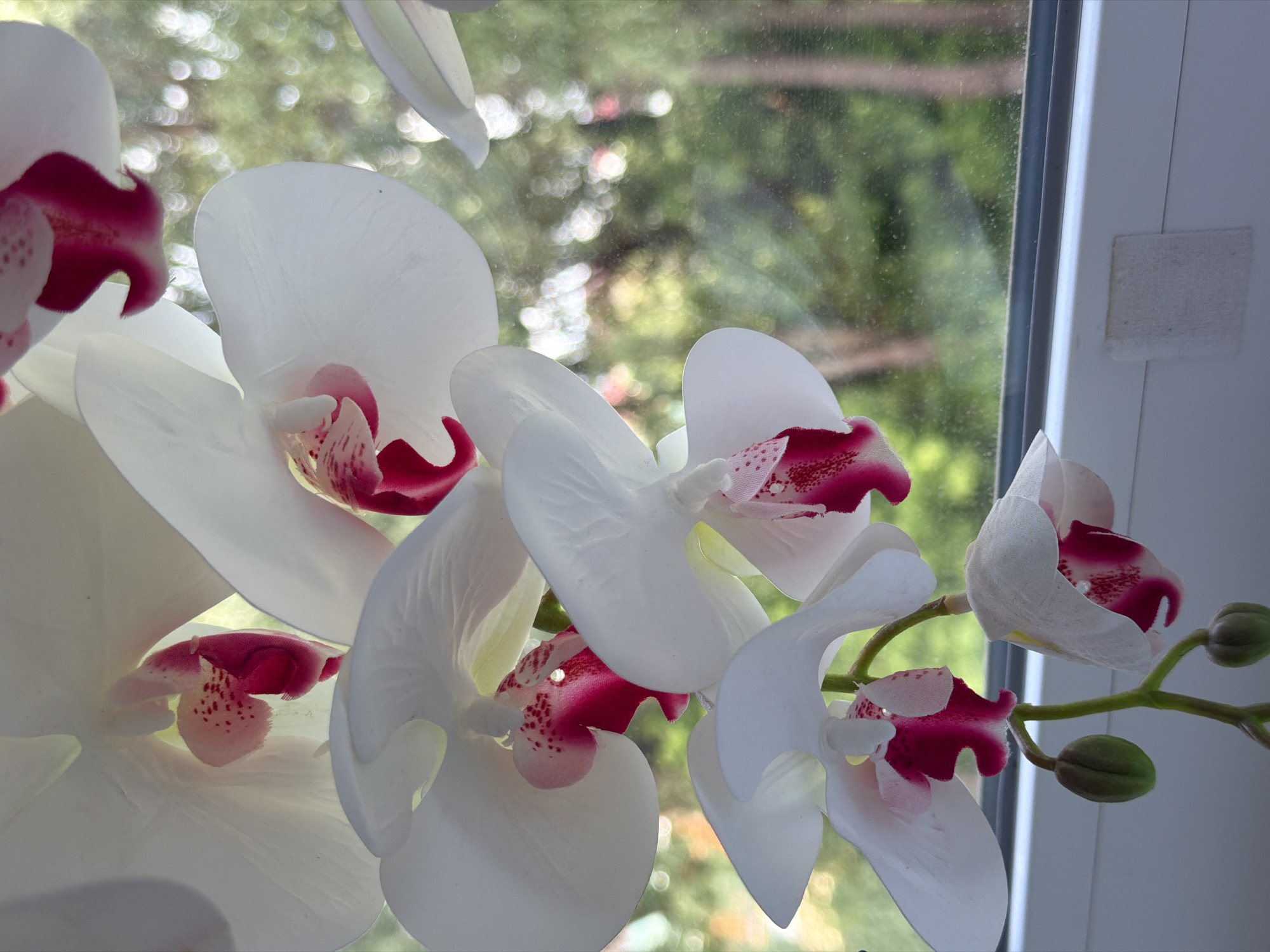 An overhead close-up shot displays a cluster of artificial white orchids with fuchsia centers, situated on a white windowsill. The flowers are arranged in an artful cascade, with some blooms fully open and others in bud. The background reveals a blurred, out-of-focus view of green foliage and trees through a window, suggesting an outdoor setting. The lighting is bright, likely natural light from the window, casting subtle shadows on the petals. The overall impression is one of delicate beauty and artificial replication.