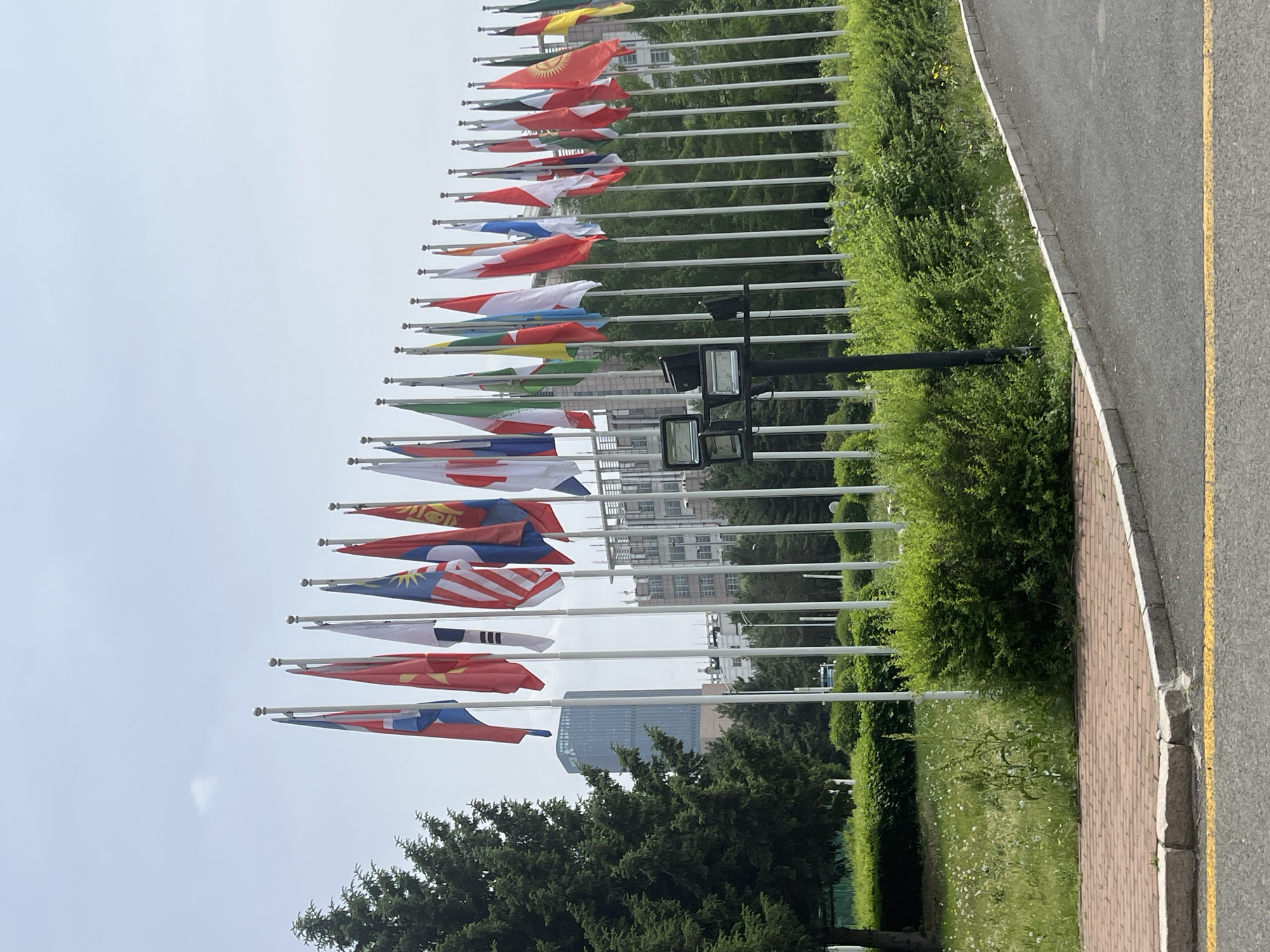 The image shows a row of international flags on white poles, fluttering in the wind. The flags are arranged linearly, with green bushes lining the base of the poles. Behind the flags, a modern building can be seen in the distance, partially obscured by trees. To the right of the image is a sidewalk and road. The sky is overcast. The location is assumed to be Changchun City, China, due to the prompt specifying the location.