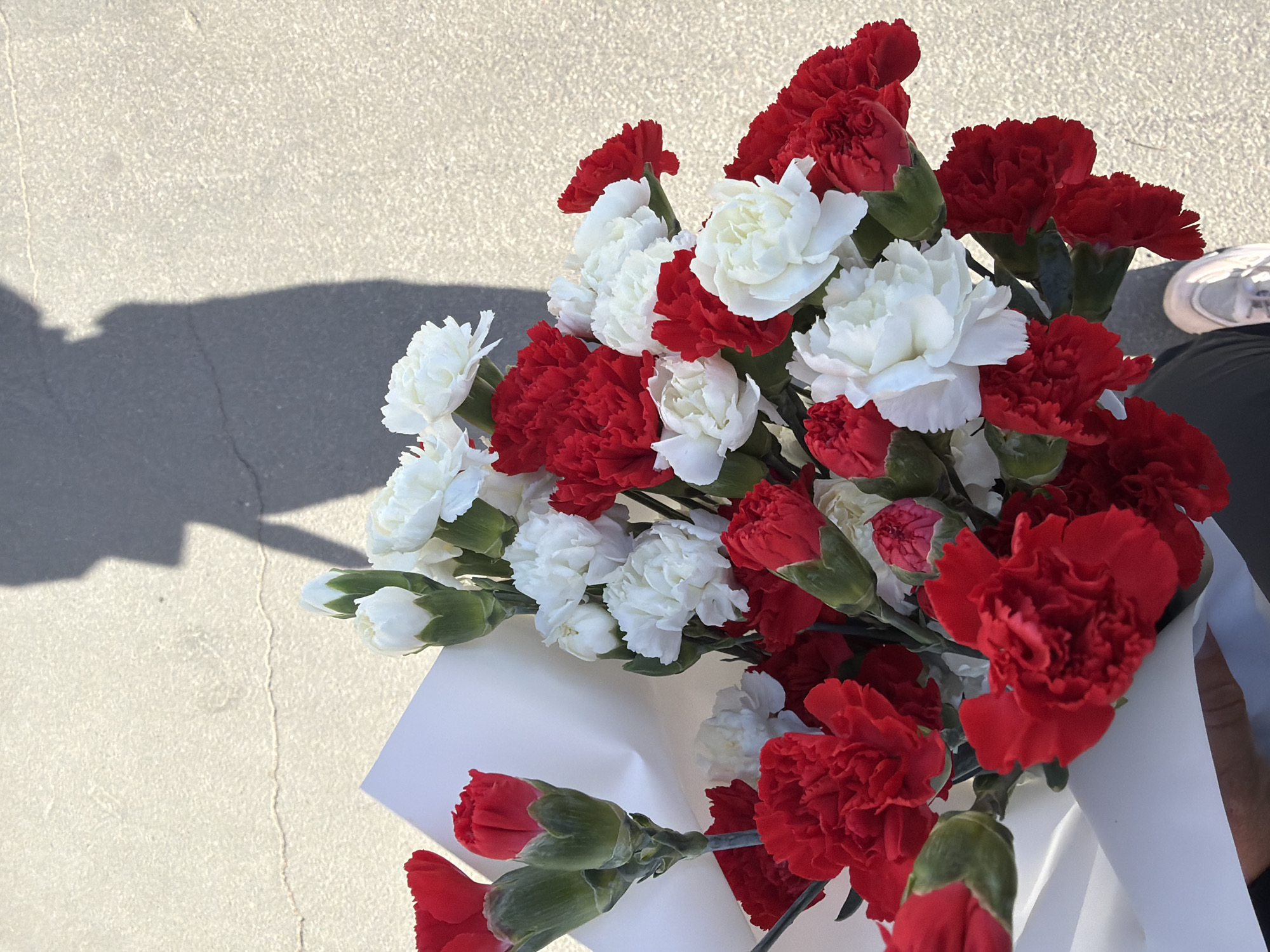 The image shows a bouquet of red and white carnations wrapped in white paper, casting a shadow on a concrete surface. A person wearing a white sneaker is partially visible in the upper right corner.