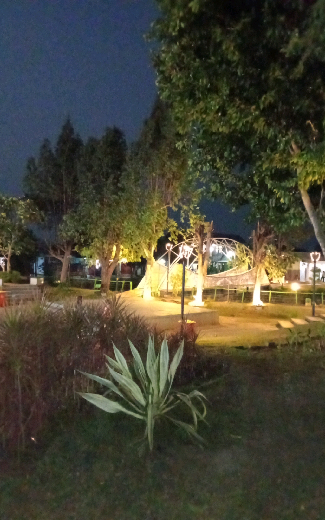 This is a night-time, outdoor photograph taken in the city of Ngasem, Indonesia. The image depicts a park-like setting illuminated by artificial lighting. In the foreground, a spiky plant with variegated green and white leaves is visible, situated on a patch of dark green grass. Behind this plant, a cluster of dark, feathery foliage is present.
Further back, several trees with green foliage are illuminated, some with white trunks. The background features a distinctive arched structure with a white, geodesic-like roof, which appears to be a building or pavilion. Several lampposts with decorative tops are scattered throughout the scene, casting pools of yellow light. In the middle ground, a low wall or railing runs horizontally, and beyond it, more trees and buildings are faintly visible. The sky is a dark blue, indicating it is nighttime. No people are clearly discernible in the photograph. The overall impression is of a well-lit public space after dark.