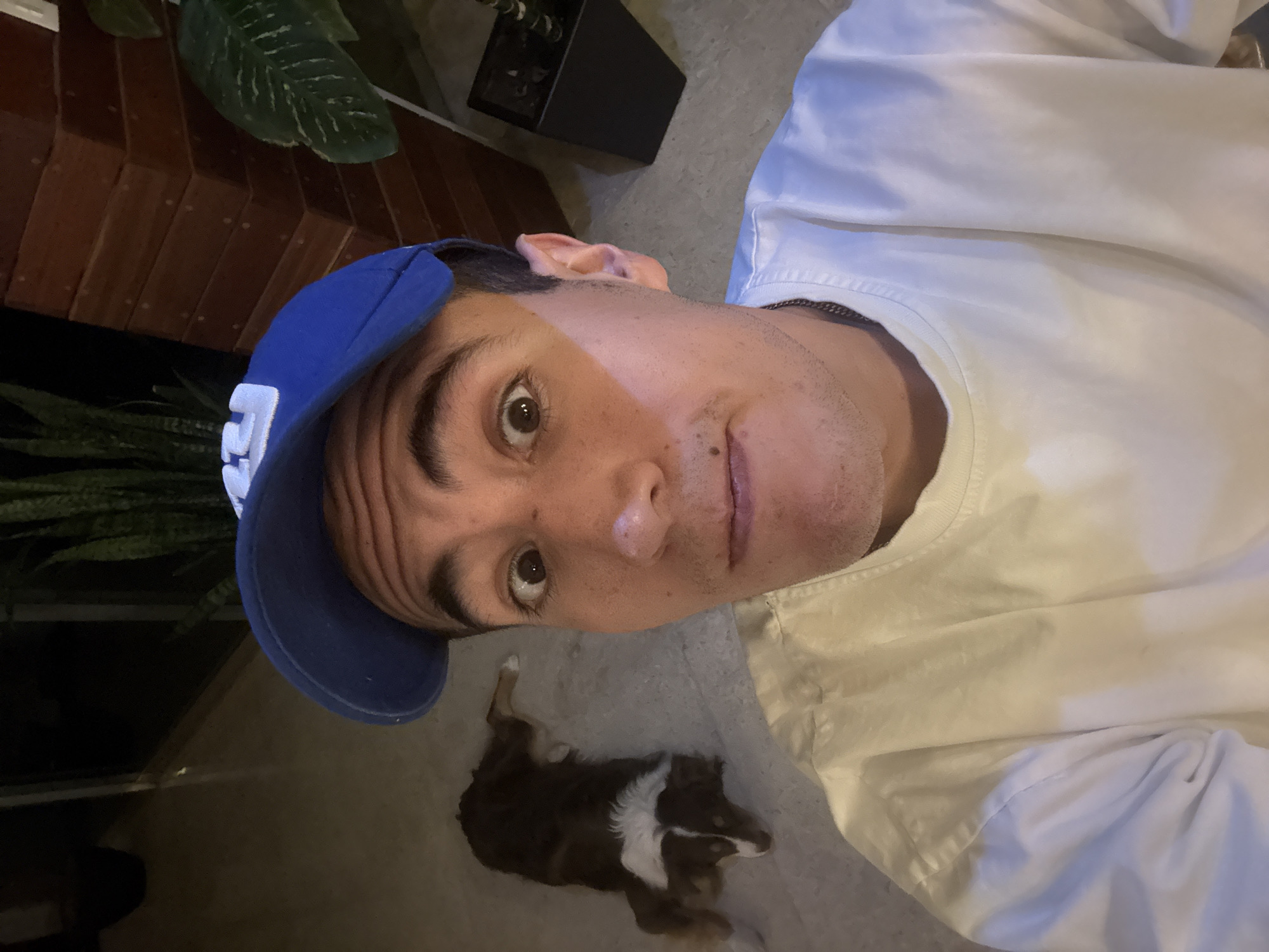 The image, taken in San Bernardino Tlaxcalancingo, Mexico, captures a young man in a blue baseball cap and white t-shirt, looking directly at the camera with a neutral expression. His dark eyes are wide, and a light stubble is visible on his chin and jawline. A strong light source from the right illuminates half of his face and his white shirt, casting the other half of his face and much of the background into shadow. On the front of his blue cap, a white letter or number, possibly '2' or 'Z', is partially visible. He also wears a thin metal chain around his neck.
Behind the man and slightly to his left, a small dog with brown, black, and white fur is lying on a light-colored concrete or paved surface. The dog appears relaxed, possibly asleep or resting.
The background suggests an outdoor or semi-outdoor setting, possibly a patio or yard. Visible elements include dark green plants with large leaves, a snake plant, and a dark rectangular planter. A wooden slatted structure, possibly part of a wall or fence, is also present. The overall dim lighting, with artificial light creating significant contrast and shadows, indicates the photograph was taken in the evening or at night. The original image is oriented on its side.