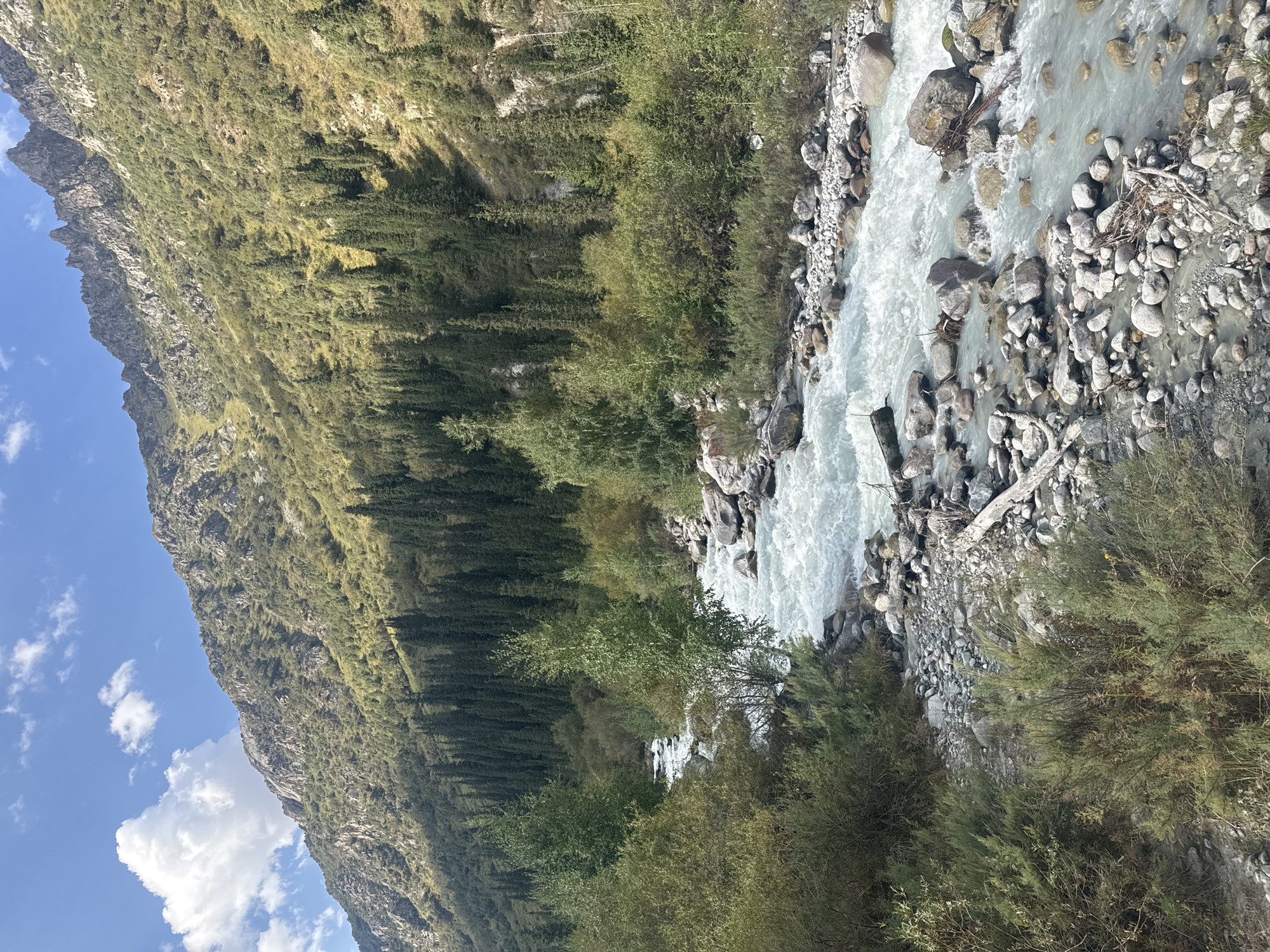 The image depicts a wide, shallow river flowing through a rocky, mountainous landscape. The water is a milky, turquoise color and appears to be moving rapidly, creating white rapids. The riverbanks are lined with smooth, gray stones of various sizes. On the left side of the river, there are dense green bushes and smaller trees. Further back, a thick forest of tall, dark green coniferous trees covers the lower slopes of a large, rugged mountain. The mountain is steep and rocky, with patches of scrubby vegetation. The sky above is blue with a few scattered white clouds. The overall scene is one of natural, untamed wilderness, with no signs of human habitation or activity. The location is identified as Unknown, Kyrgyzstan.