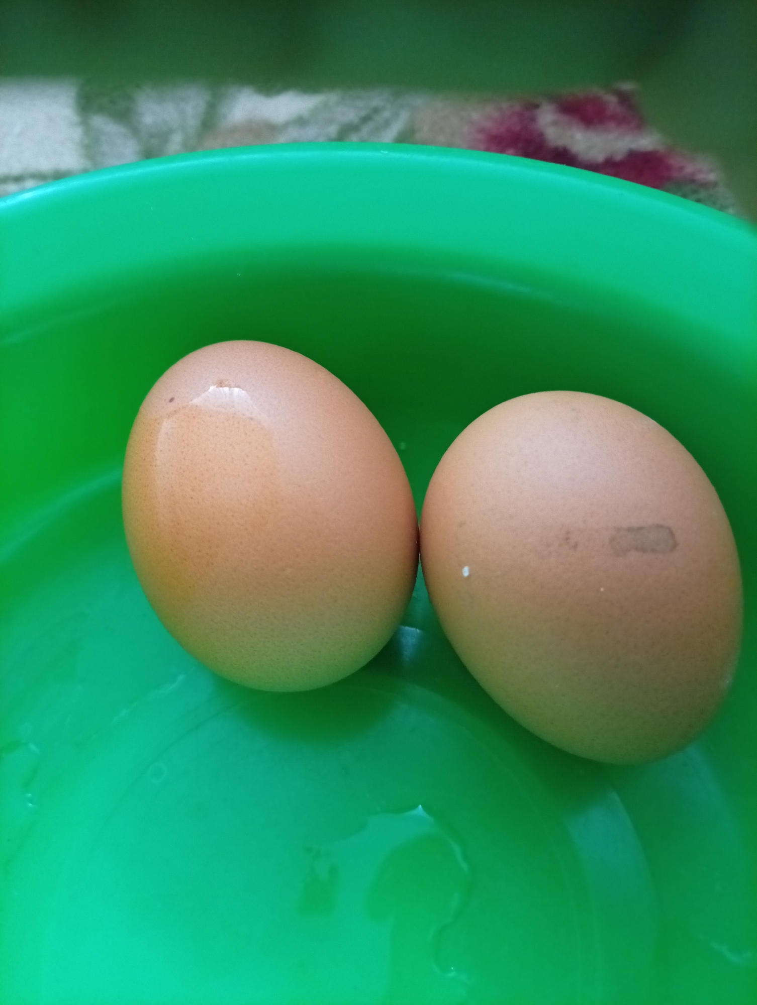 Two brown eggs are submerged in a bright green basin filled with water. The eggs are smooth and oval-shaped, with one egg positioned to the left and slightly in front of the other. The surface of the water is slightly rippled, reflecting the light. The basin appears to be made of plastic. The background is blurred, but suggests a textured surface. The image's origin in Malysheva, Russia is not discernible from the visual content.