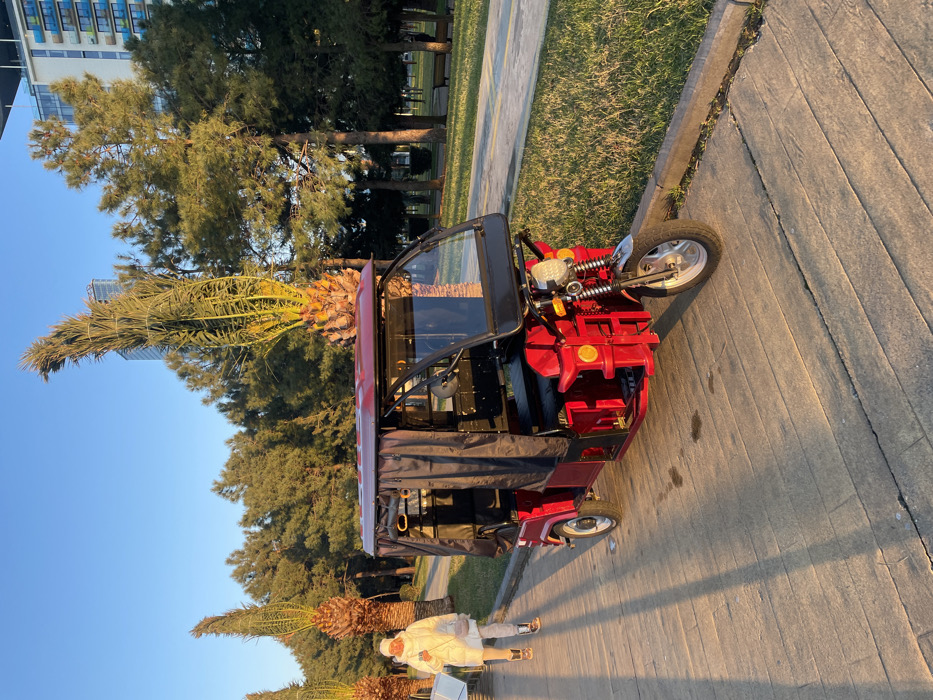 An outdoor scene depicts a red three-wheeled motorized rickshaw parked on a light-colored paved path within what appears to be a park or promenade in Batumi, Georgia. The location is consistent with Batumi Boulevard. The rickshaw, featuring a black roof and black fabric side enclosures, faces slightly to the right, with its single front wheel, silver fender, and prominent headlight visible. A lone individual, dressed in a white puffer jacket, light-colored pants, and dark boots, wearing a white hat or hood, walks on the paved path to the left of the rickshaw. This person is carrying a white bag in their left hand and is moving towards the left side of the frame, away from the camera. The paved path exhibits linear patterns and is bordered by a strip of green grass on the right. Multiple tall palm trees with visible trunks and sparse fronds are interspersed throughout the scene, accompanied by a denser line of evergreen trees in the mid-ground. In the far background, modern high-rise buildings are partially visible above the treeline against a clear blue sky. The scene is illuminated by strong, low-angle sunlight, casting long shadows across the paved surface, indicating either early morning or late afternoon.