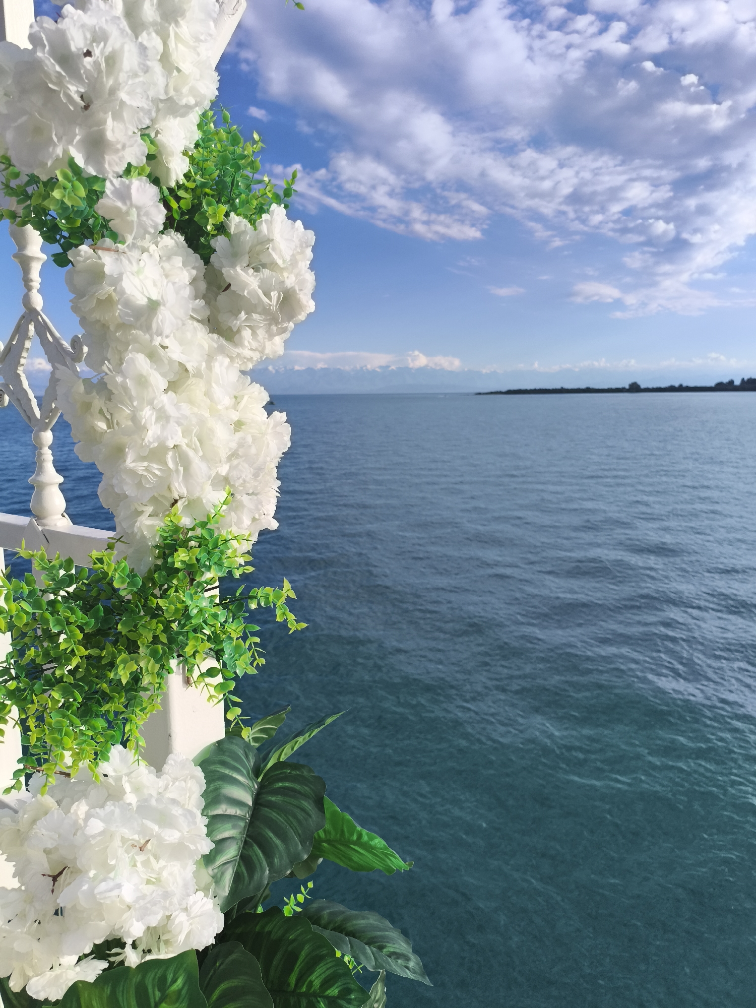 This image depicts a picturesque view of Issyk-Kul Lake in Bayet, Kyrgyzstan, framed by artificial white flowers and greenery. The foreground features a white railing and a decorative arrangement of white flowers and lush green foliage, possibly part of a wedding or event setup. The bright white flowers, with their delicate petals, cascade down, while vibrant green leaves and smaller sprigs of greenery add depth and contrast. Beyond this floral arrangement, the expansive, deep blue waters of Issyk-Kul Lake stretch towards the horizon. The lake's surface is slightly rippled, reflecting the clear sky above. In the distance, a faint silhouette of a shoreline with low hills or mountains can be seen under a sky dotted with fluffy white clouds against a bright blue backdrop. The overall scene evokes a sense of serenity and natural beauty, enhanced by the carefully placed decorations.