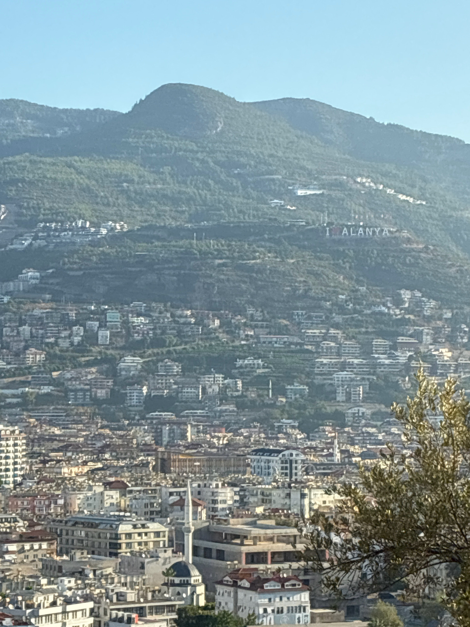The image is a wide shot of the city of Alanya, Turkey, taken from an elevated position looking down over the urban landscape. In the background, a lush, green mountain slopes steeply upwards, dotted with buildings and trees. Prominently displayed on the mountainside is a large sign that reads "I LOVE ALANYA" in white letters.
The middle ground of the image is filled with a dense cluster of buildings, a mix of residential and commercial structures, many with light-colored facades and flat roofs. They are built on terraces that follow the contours of the hill. A white minaret and a domed roof of a mosque are visible amongst the buildings in the lower middle section.
The foreground features a portion of a tree with green and brown leaves, partially obscuring the view of the city. The sky is clear and pale blue, suggesting a bright, sunny day. The overall scene depicts a coastal city nestled against a mountainous backdrop, a common characteristic of Alanya.