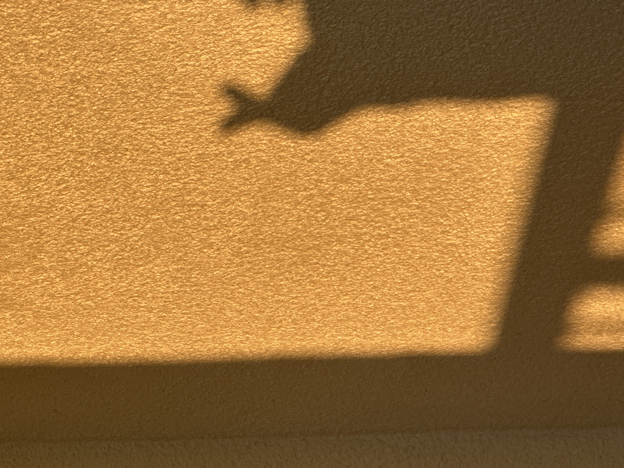 A shadow is cast on a textured, possibly stucco wall. The shadow appears to be that of a plant or object with angular and branch-like extensions. The wall is illuminated with an orange or yellow hue, implying either sunrise or sunset. The exact location is indeterminable, as the image does not contain enough location clues to identify the place within the city of Unknown, Russia. No people are visible.