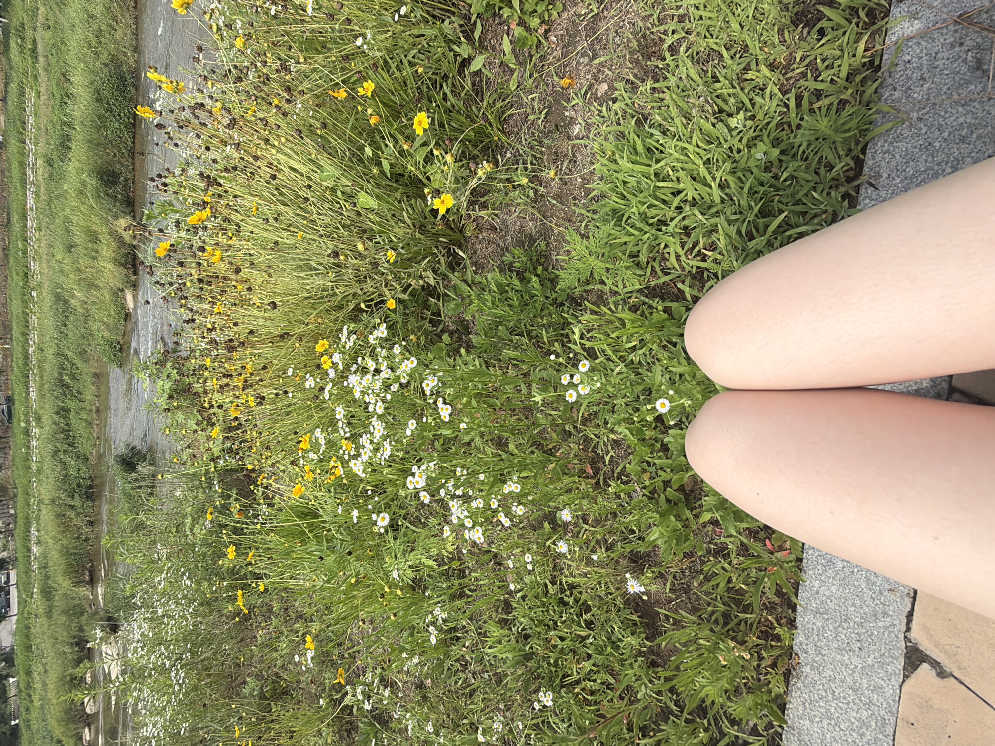 The image shows a person's legs, from the knees down, sitting on a stone bench. They are facing a river with lush green grass and wildflowers in the foreground and on the opposite bank. The river appears to be flowing gently, and there are some rocks visible in the water. The surrounding area is a natural landscape with trees and vegetation. The scene is set in Dongducheon-si, South Korea, suggesting an outdoor recreational area or park. The lighting suggests it is daytime, likely a clear or partly cloudy day.