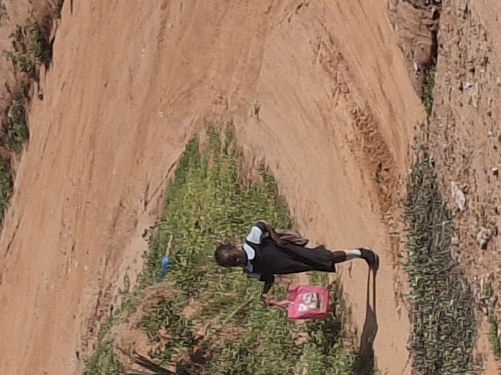 In the city of Tumfure, Nigeria, a young girl walks along a dirt path. She is dressed in a dark school uniform with a white collar and light blue cuffs. She carries a pink bag in her right hand and a book or folder tucked under her left arm. The path is flanked by dry, dusty ground and patches of green vegetation. The sky is not visible in the frame.