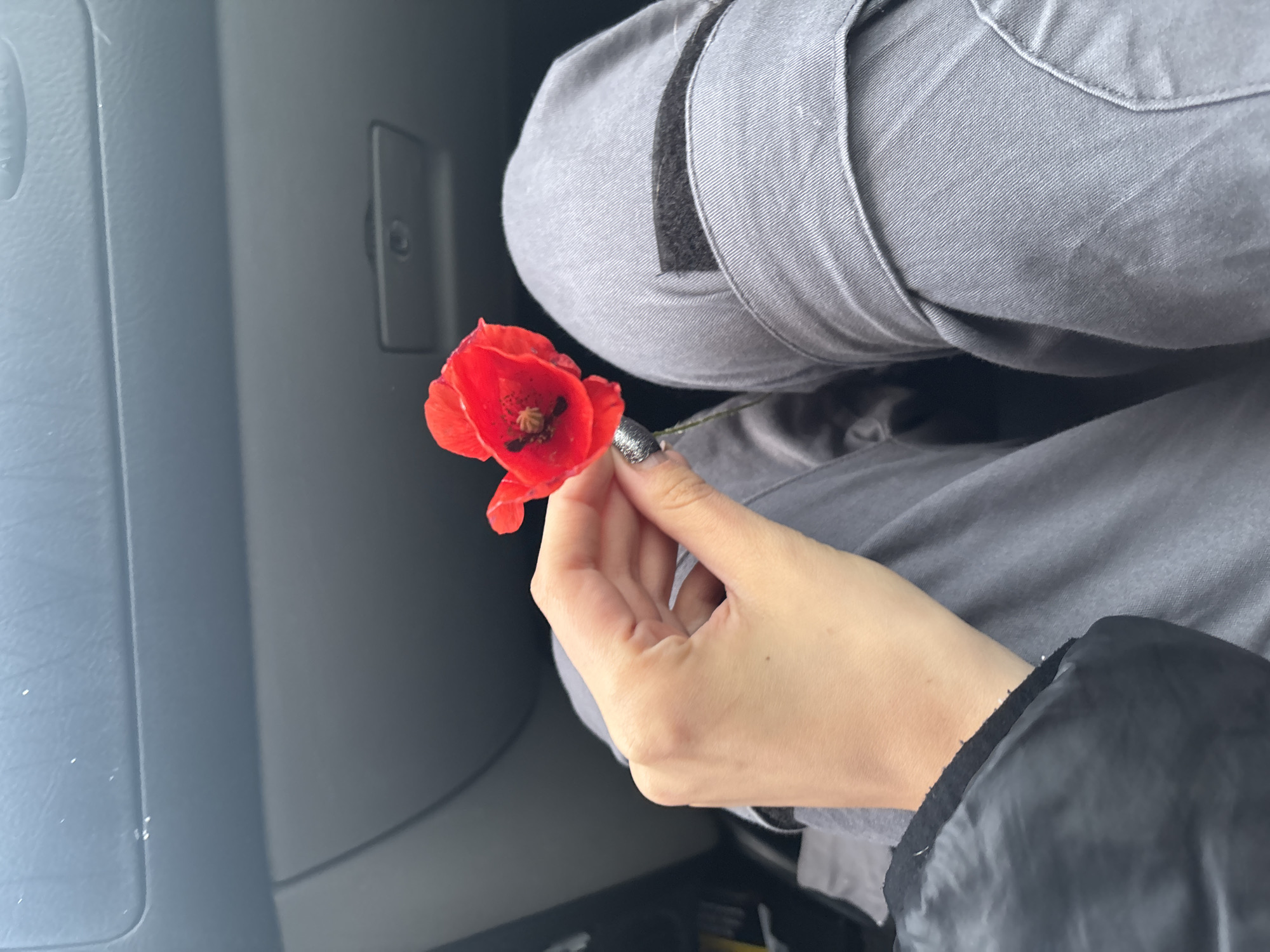 A red poppy flower is held in a hand with silver glitter nail polish in a grey car interior. The individual is wearing grey cargo pants and a black jacket. The location is not discernible from the image.