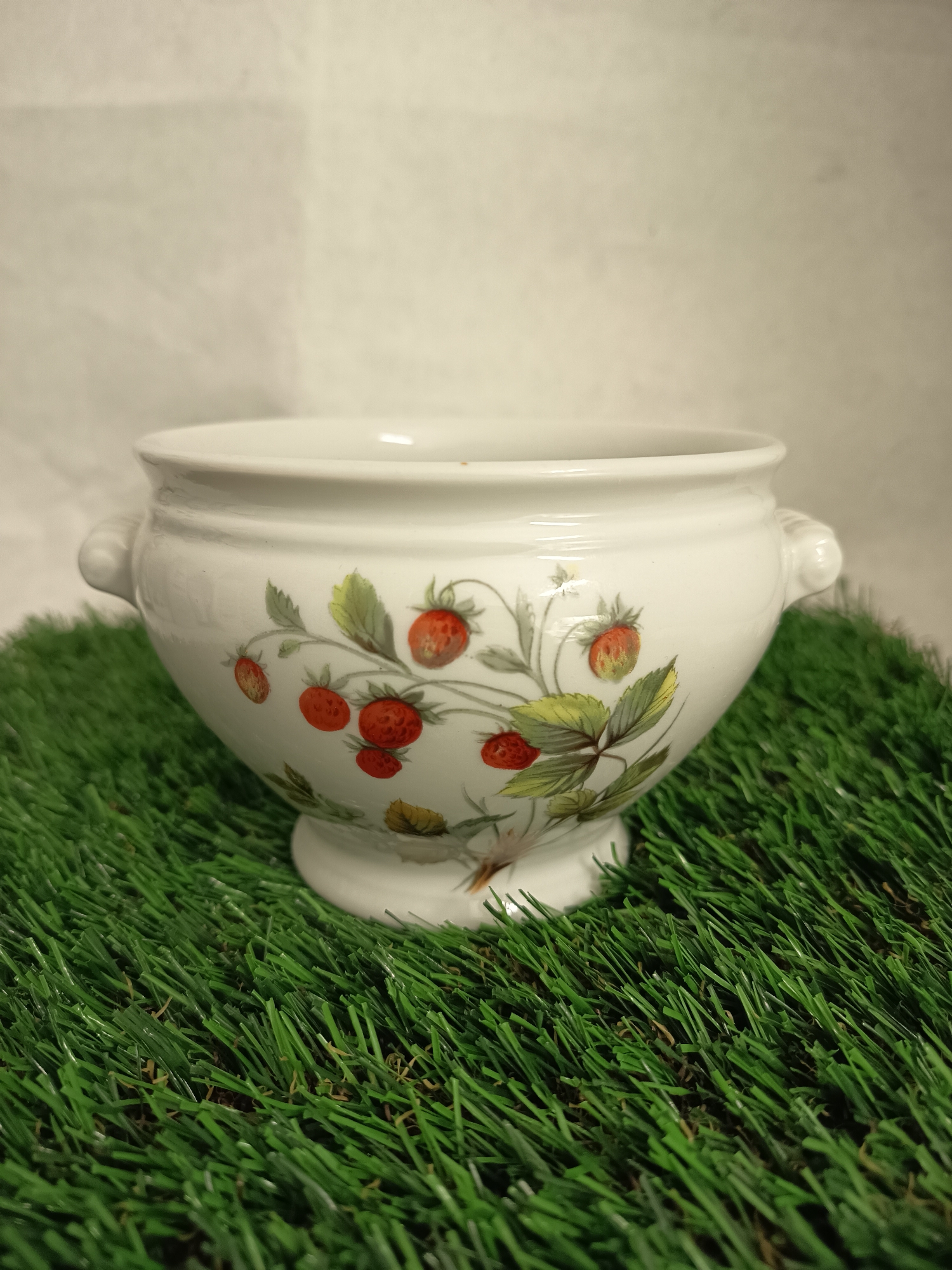 A white ceramic soup tureen with strawberry illustrations is centered on a vibrant green artificial turf surface. The tureen has a pedestal base and two small handles. The background is a plain, light-colored wall. The location in Wangen bei Olten, Switzerland, is not visually discernible.