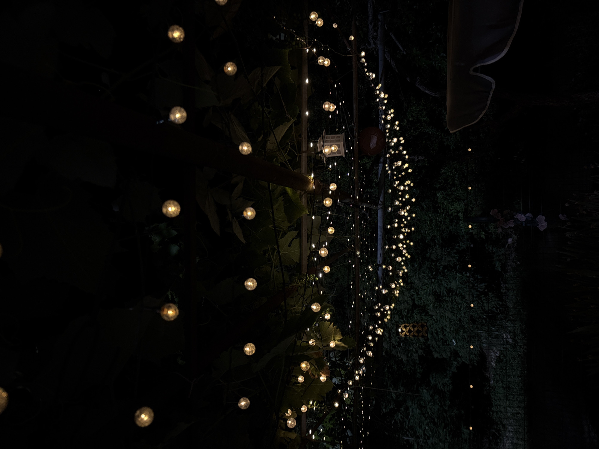 The image depicts an outdoor setting at night, illuminated by numerous string lights. The lights are of varying sizes and shapes, with some appearing as small, warm-toned bulbs and others as larger, more decorative lanterns. They are strung across what appears to be a vine-covered pergola or similar overhead structure, with lush green foliage visible in the background, suggesting a garden or patio area. In the foreground, the darkness obscures much of the ground level, but a hint of a dark surface, possibly a table or seating area, is visible on the right, with a curved edge suggesting an umbrella or awning. A dark, chain-link fence is visible further back. The overall atmosphere is serene and inviting, typical of an outdoor evening gathering space. The image does not contain any people or obvious actions. The scene is not identifiable as being in Baurene, Bulgaria.