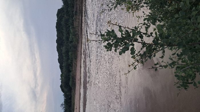 This image depicts a natural landscape located in Walu, Kenya. In the immediate foreground, dark green leafy vegetation, including sparse branches with small light-colored elements, partially obscures the lower portion of the frame. Beyond this vegetation, a body of water, likely a river, occupies the midground, its surface appearing textured with numerous small ripples or reflections under muted lighting. A narrow strip of light brown sandy bank is visible along the near edge of the water, while a wider, darker brown sandy bank with visible textural variations and patches of darker sediment lines the far side. In the background, a dense formation of dark green trees or thick bushes forms a distinct, low horizon line. The sky above is overcast, presenting a uniform light grey coloration, indicative of a cloudy environment or twilight conditions. No human presence, animals, or artificial structures are discernible within the frame.
