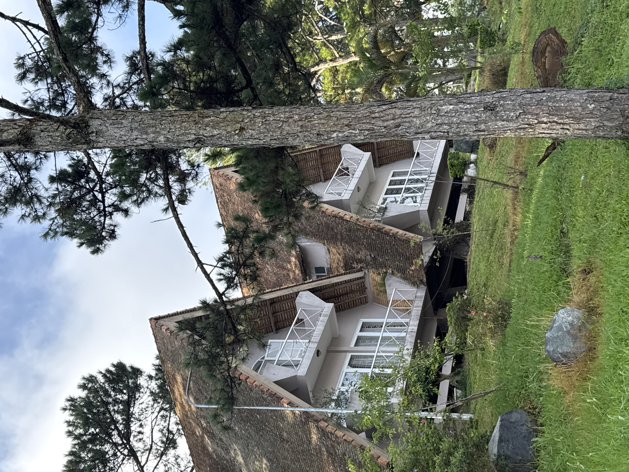 The image depicts a hillside view of two adjacent A-frame houses nestled among pine trees in Da Lat, Vietnam. The houses, with their distinctive triangular roofs covered in reddish-brown tiles, feature multiple levels with white balconies and windows. The surrounding landscape is characterized by lush green grass, scattered rocks, and dense foliage, including pine trees and other vegetation. The sky above is partly cloudy. The scene conveys a sense of tranquility and natural beauty, typical of Da Lat's mountainous terrain.