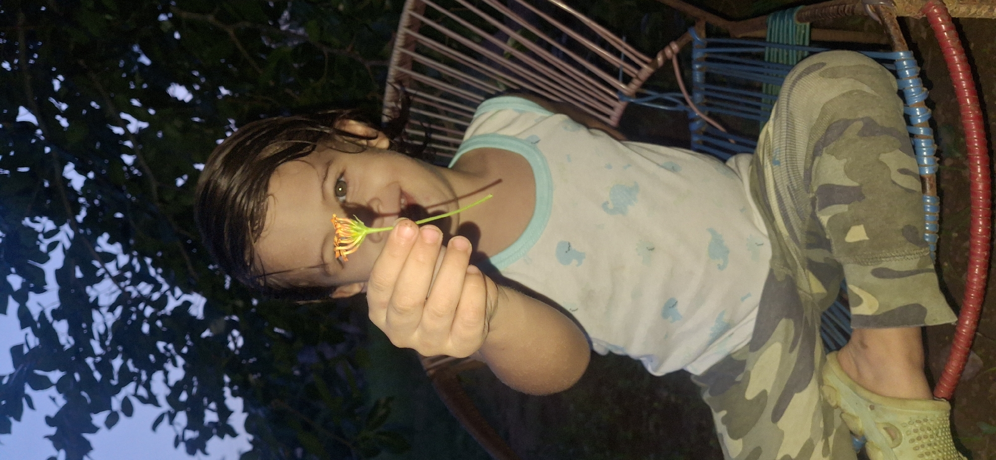A young child is seated in a chair in what appears to be a garden setting at dusk. The child is holding a small orange flower in their outstretched hand. The child is wearing a white tank top with light blue dinosaur prints and camouflage pants. The background features dark trees and foliage against a twilight sky. The chair is made of a woven material with a metal frame and has visible red and blue banding. The lighting suggests it is either early morning or late evening. There is no specific indication of the location within Vallecito, Venezuela, other than it being an outdoor setting.