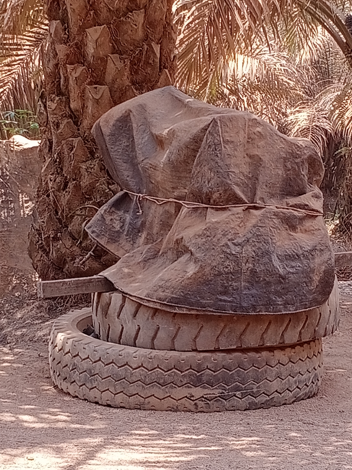 The image depicts a stack of three tires outdoors. The tires are weathered and appear to be used. The top two tires are covered by a dark, heavy tarp, secured with a rope. A wooden plank is visible protruding from beneath the tarp and between the top and middle tires. The stack of tires is situated next to the base of a palm tree, characterized by its rough, segmented bark. In the background, lush palm fronds are visible, suggesting a tropical or subtropical environment. The ground is covered in dirt and sand, with some scattered debris. The lighting indicates it is daytime, with sunlight filtering through the foliage, creating dappled shadows. The scene appears to be a storage area or a section of a yard in Ketapang, Indonesia.