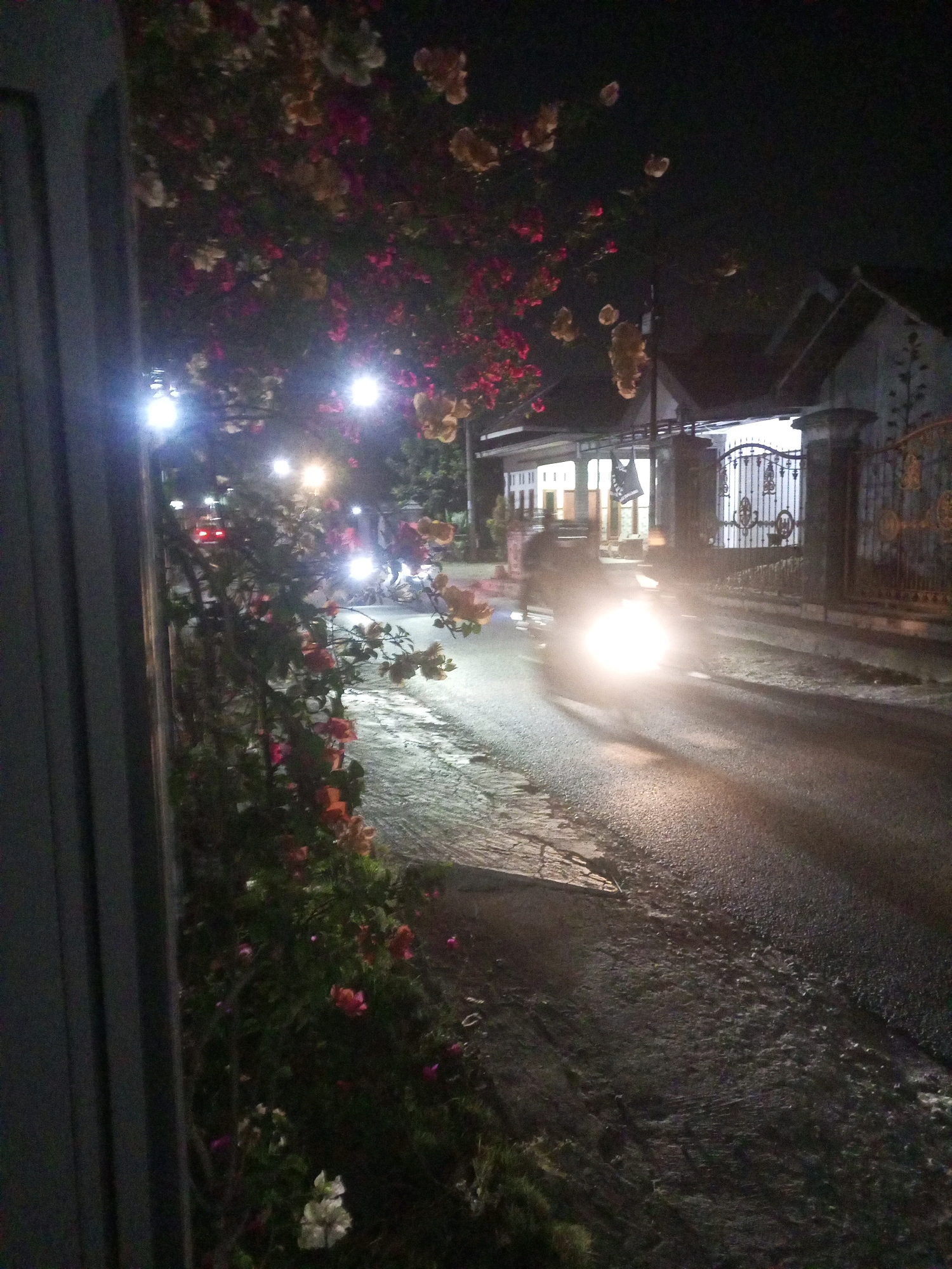 The image depicts a nighttime street scene in the city of Ngasem, Indonesia. A motorcycle is prominently featured, its headlight intensely illuminating the wet asphalt road. The motorcycle is in motion, creating motion blur and casting elongated shadows. The surrounding environment includes a sidewalk on the right, bordered by a decorative metal gate and a house with a visible roofline and illuminated windows. To the left, a cluster of flowering plants, likely bougainvillea, with pink and white blossoms, flanks the street. Additional streetlights are visible in the background, casting their glow on the scene. The overall atmosphere is dark, illuminated by artificial lights.