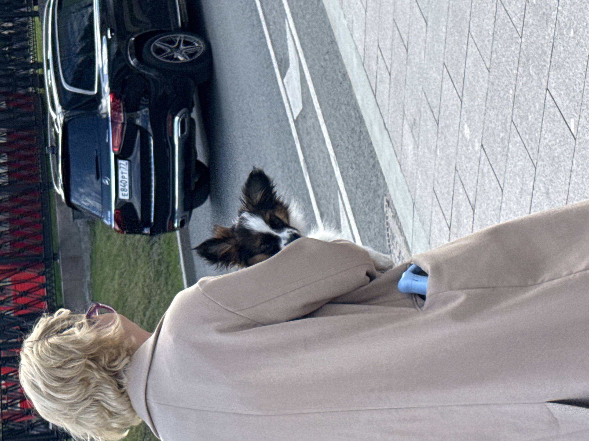 A medium, eye-level shot captures a woman walking on a sidewalk in Moscow, Russia. She has short, blonde hair and is wearing glasses and a tan coat. A small dog with pointed ears and white and brown fur peeks out from under her arm, looking towards the camera.
Next to the sidewalk is a road with a black SUV that has the Russian license plate "E840PT77". The road markings indicate the direction of traffic flow. To the left of the road, a red fence and a green grassy area are visible. The sidewalk is constructed of gray paving stones.