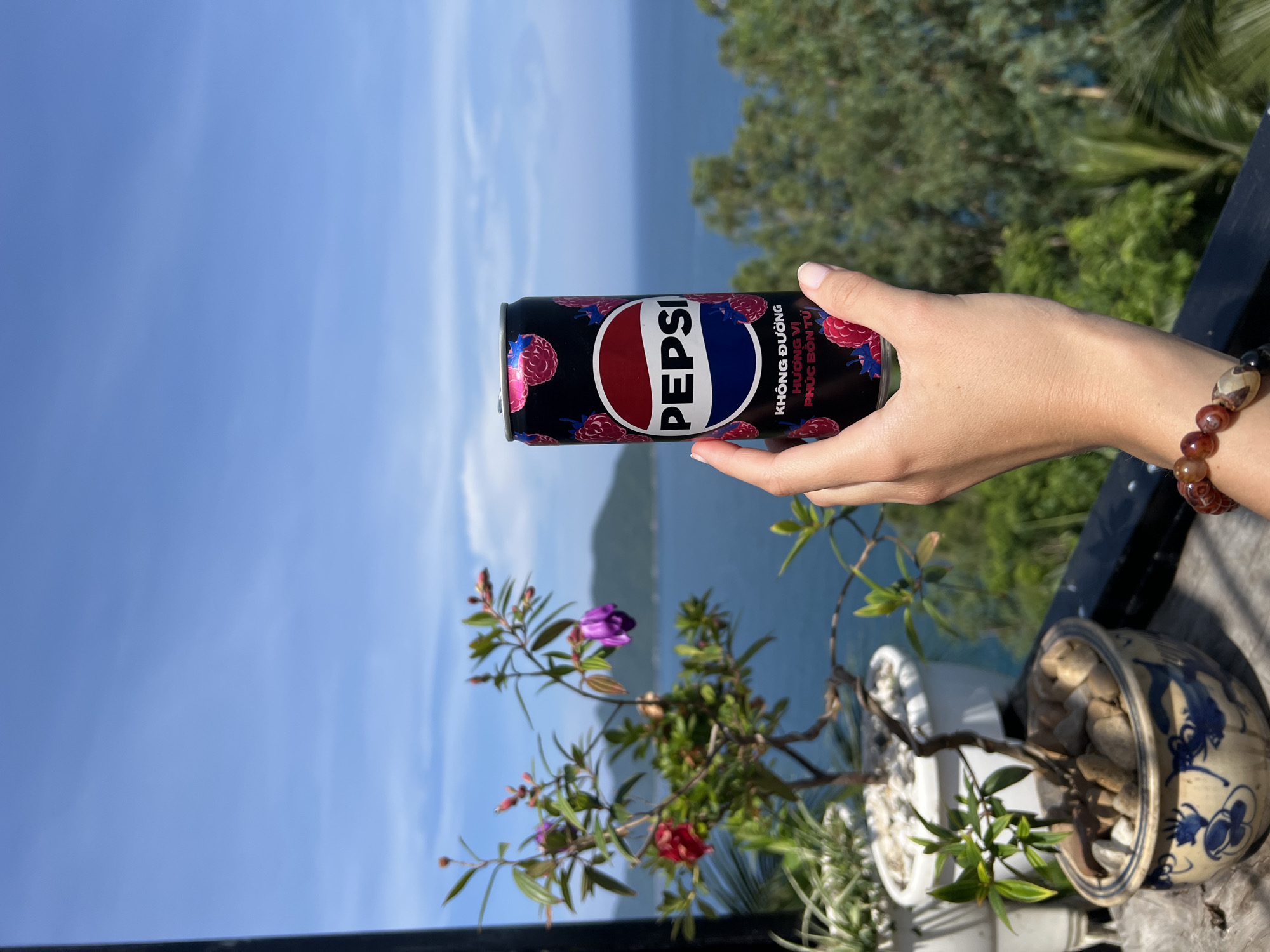 A hand holds a can of Pepsi over a balcony, with a scenic view in the background. The can is black with raspberry designs and the Pepsi logo in red, white, and blue. Text in Vietnamese is visible on the can. The hand is wearing a beaded bracelet. A flowering plant in a decorative pot is in the foreground. The background shows a body of water, an island, and vegetation under a clear blue sky. The location is in Hòa Xuân, Vietnam.