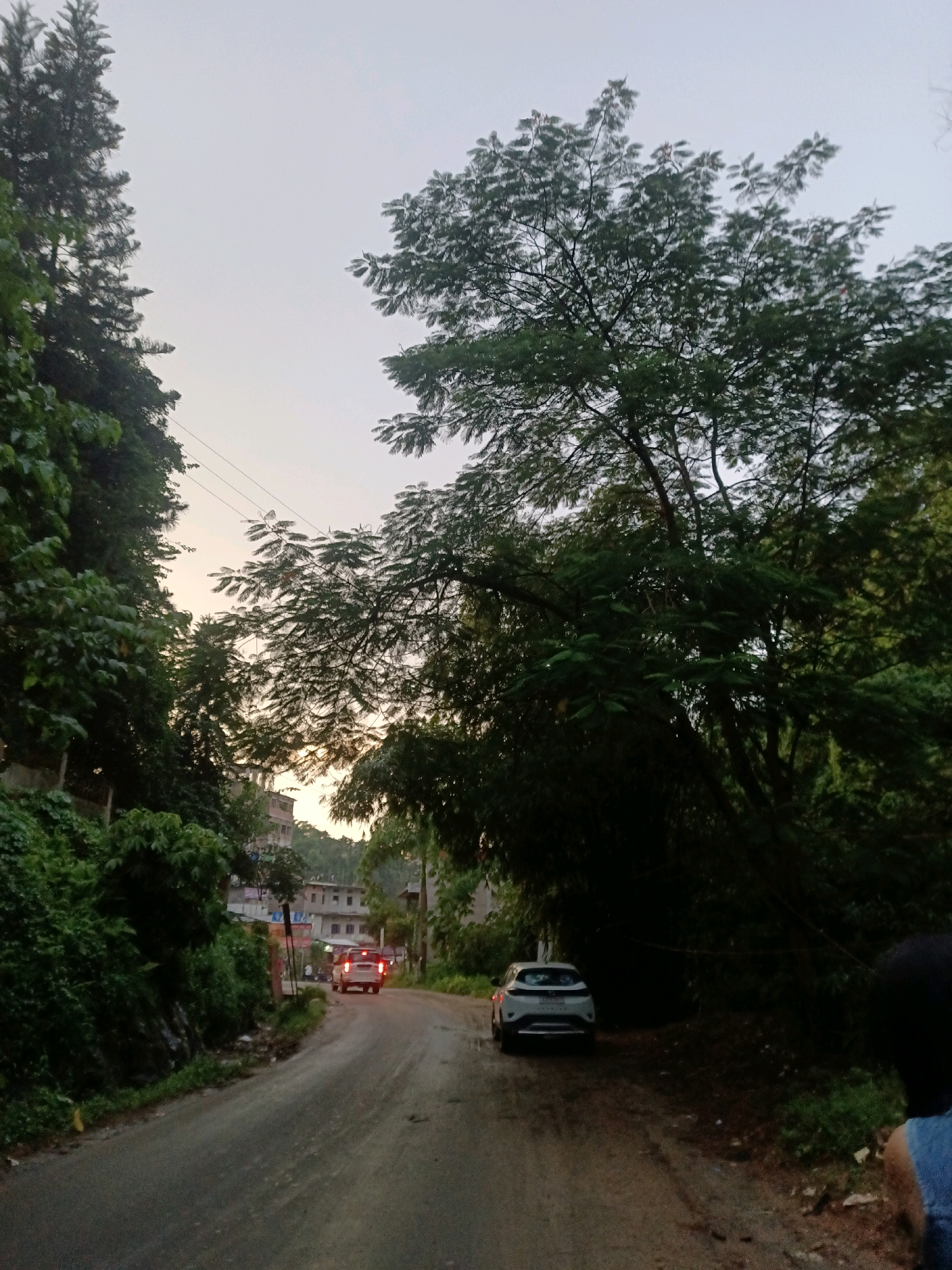 The image shows a road in Baridua, India, with dense foliage on either side. The sky is overcast and the lighting suggests it is either early morning or late evening. Two cars are visible on the road; one is white and parked on the right side of the road, while another white car is further up the road, its taillights illuminated, suggesting it is moving or has just stopped. Several buildings are visible in the background, nestled amongst the trees. A person's shoulder and back of the head, wearing a blue top, is visible in the lower right corner of the frame, suggesting the photo was taken by someone standing on the side of the road. The road appears to be unpaved or poorly maintained, with loose gravel and dirt visible.