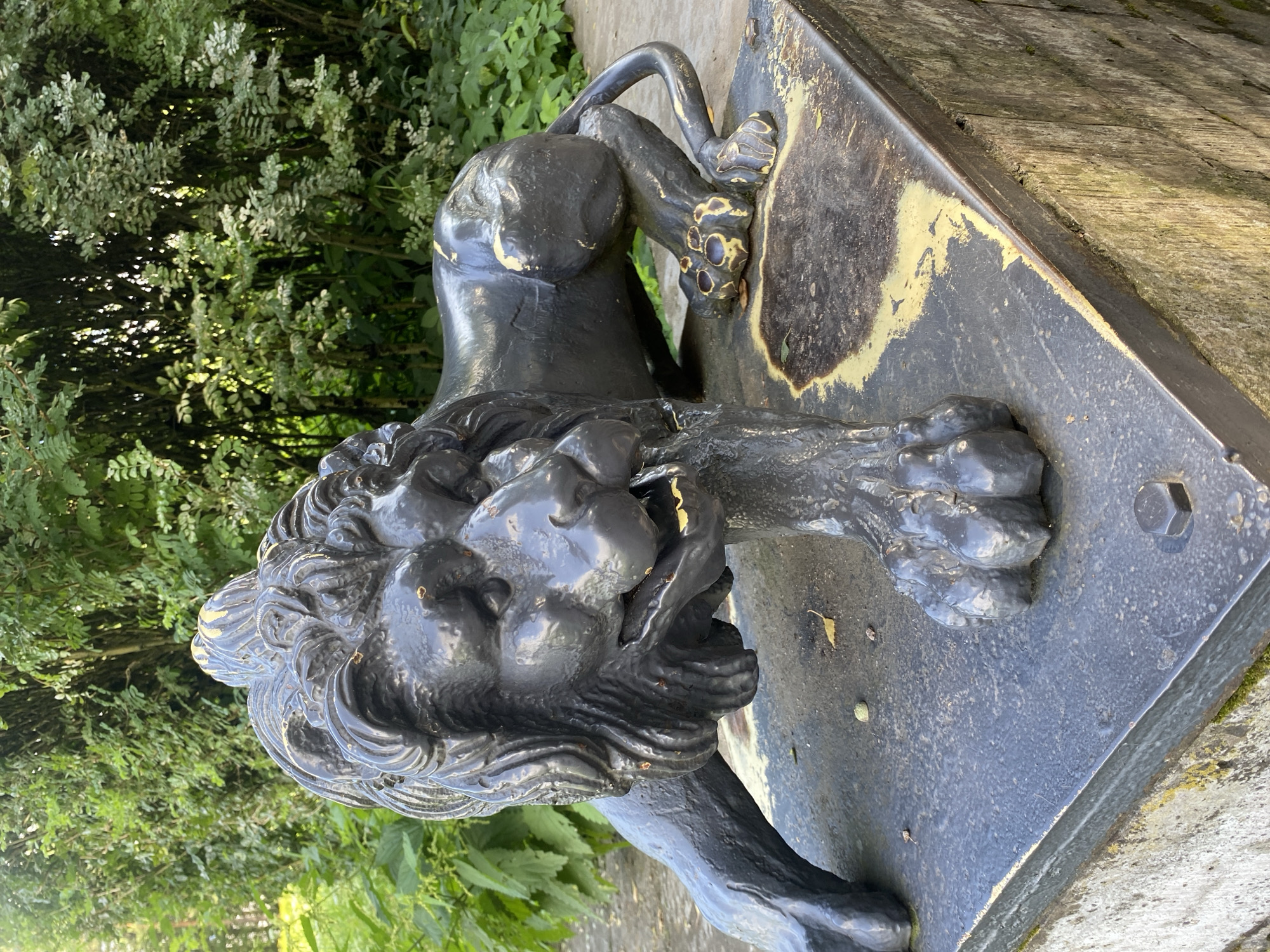The image depicts a dark metal statue of a lion in a crouched position, with its mouth open and right forepaw extended. The statue is resting on a square, dark metal platform that shows signs of wear, with patches of gold paint visible beneath a darker layer. The platform is situated on a weathered, wooden base that appears to be part of a larger structure. The background consists of dense green foliage, suggesting an outdoor setting. This statue is located in the Pavlovsk Park in Pavlovsk, Russia, a suburb of Saint Petersburg. The lion statue is one of several decorative elements within the park.