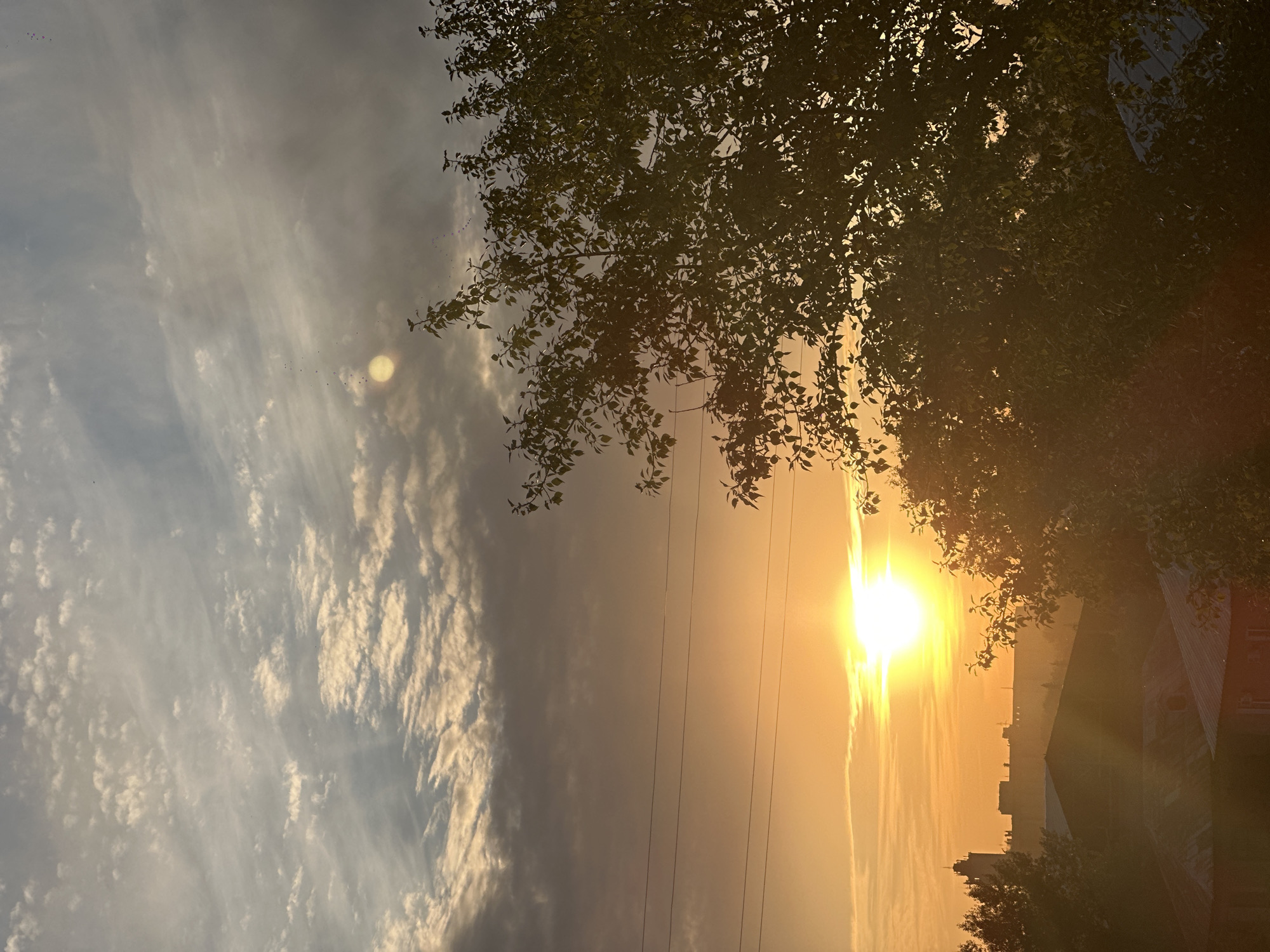 The image depicts a sunset over the city of Biysk, Russia. The sun, a bright, glowing orb, is positioned in the lower left quadrant of the frame, casting a warm, golden light across the sky and the landscape below. The sky is a mixture of orange and yellow hues near the horizon, transitioning to a muted blue and grey with scattered clouds higher up. Wispy, thin clouds are visible, some illuminated by the setting sun.
In the mid-ground, silhouetted buildings and rooftops are visible, suggesting an urban environment. A tall, slender tower-like structure is prominent on the left side. Power lines stretch horizontally across the frame in the middle section, a common urban element.
In the foreground and right side of the image, the dark silhouette of a large tree with dense foliage dominates the scene. Its leaves are backlit by the setting sun, creating a dramatic contrast. The overall impression is one of a peaceful evening in a Russian city, with nature and urban structures coexisting under a vibrant sunset sky. There are no people or animals visible in the image.