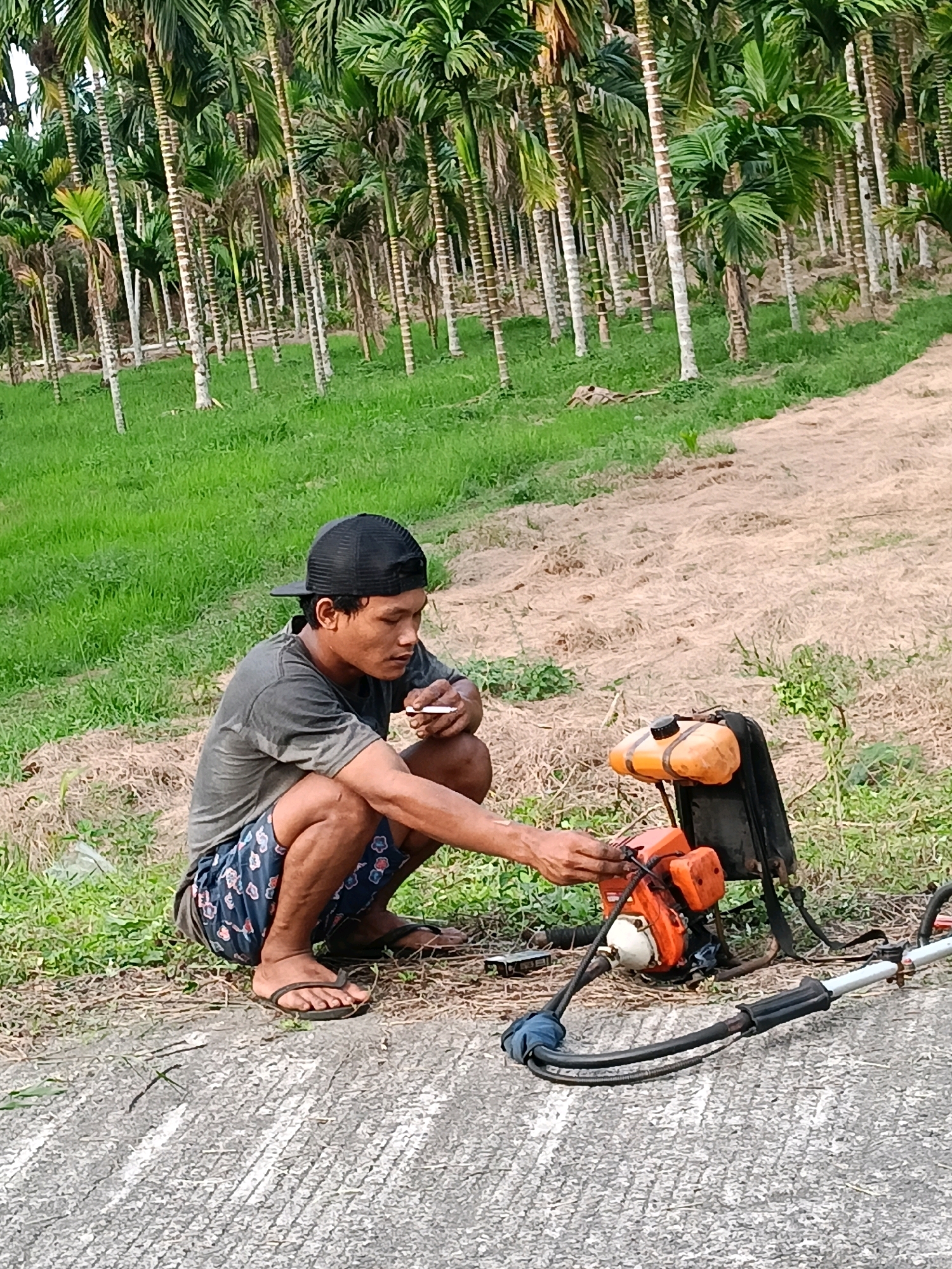 In Muntei, Indonesia, a man in a black baseball cap and a grey t-shirt crouches beside a leaf blower, which is orange and black. He wears patterned shorts and flip-flops. The man holds a cigarette in his right hand and appears to be inspecting the leaf blower. The background consists of a dense grove of areca palm trees, with lush green grass and dry, matted vegetation on the ground. The scene takes place outdoors on a dirt path.