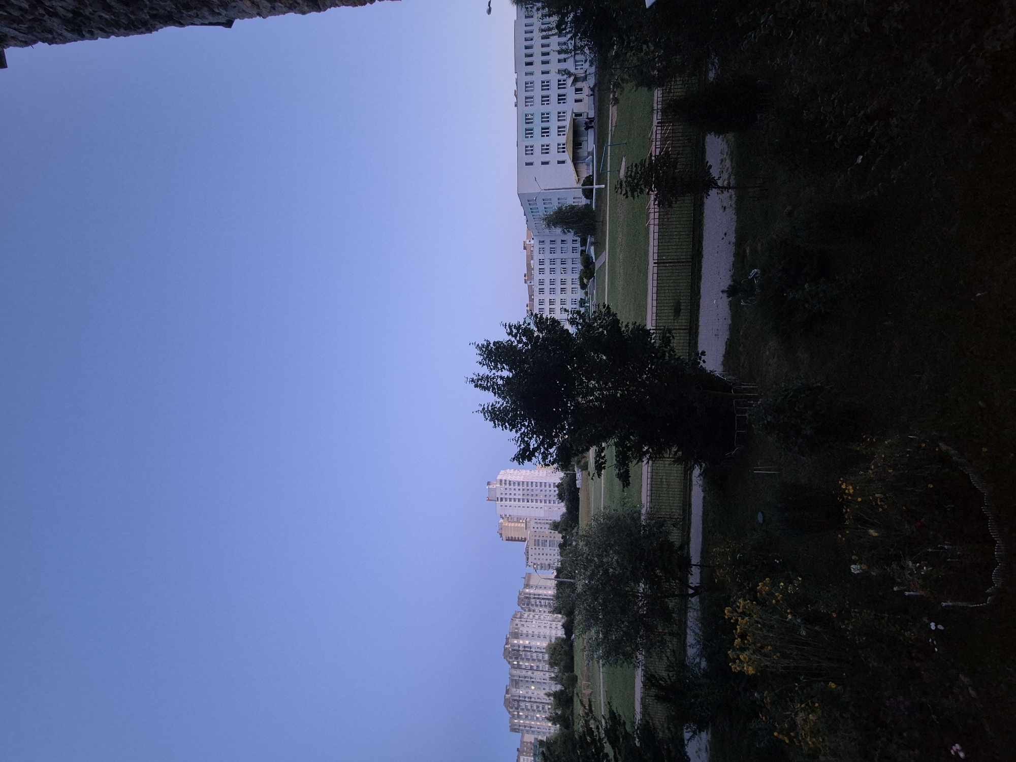 The image captures a residential area in Minsk, Belarus, during twilight. In the background, several multi-story apartment buildings are visible, some with illuminated windows, suggesting the evening hour. The buildings are varied in design, with some featuring a uniform light-colored facade and others displaying colored accents. In the middle ground, a park-like area with green grass, trees, and a fence is present. A dark-leaved tree with a thick trunk stands prominently in the foreground, obscuring part of the view. The sky is a clear, pale blue, transitioning towards a deeper shade at the horizon, indicating the end of daylight. The overall scene depicts a typical urban landscape in the evening, with elements of residential architecture and green spaces.