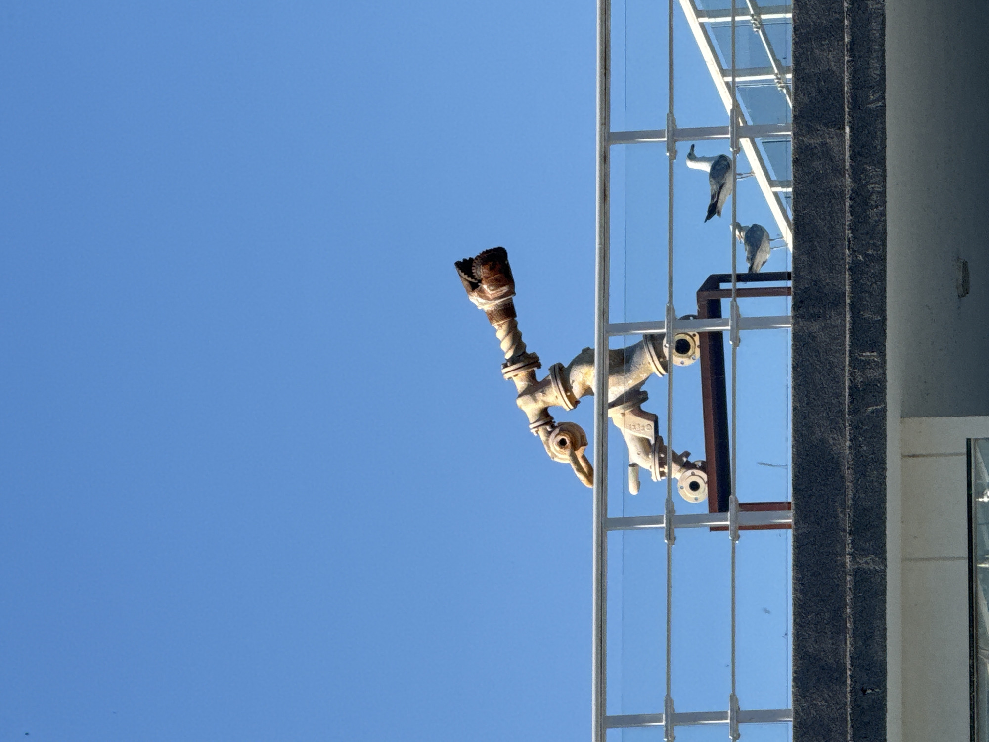 A low-angle shot shows a building with an unusual industrial pipe sculpture in Burgas, Bulgaria. The sky is clear and blue. The building has large glass windows supported by a metal frame, and a dark gray concrete support column. On a balcony, two seagulls are perched. Attached to the building, a sculpture made of pipes is visible, seemingly a converted water drill bit made of rusted metal. The photo is oriented with the building on its side, and the sky occupying most of the space.