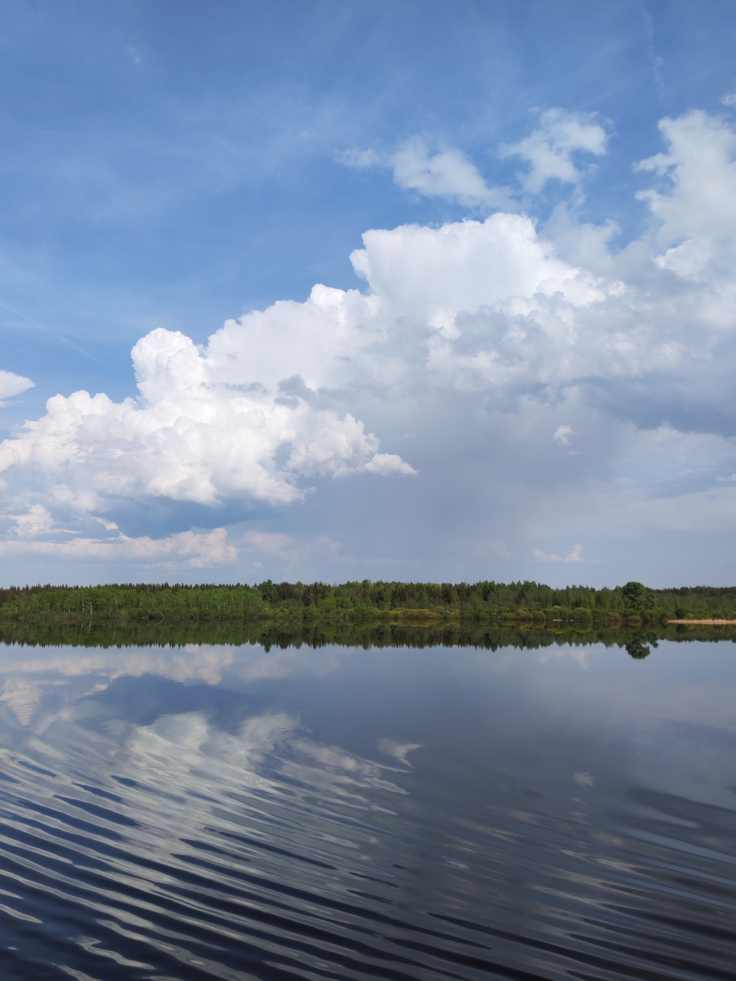 The image captures a serene landscape in Kochino, Russia. A body of water, likely a lake or wide river, dominates the foreground, its surface reflecting the sky above. Ripples disturb the otherwise mirror-like reflection of the clouds and trees. A line of trees forms the middle ground, their green foliage contrasting with the dark water. Above, the sky is filled with a mix of white, puffy cumulus clouds and patches of blue sky. The lighting suggests it is daytime. There are no people visible in the scene.