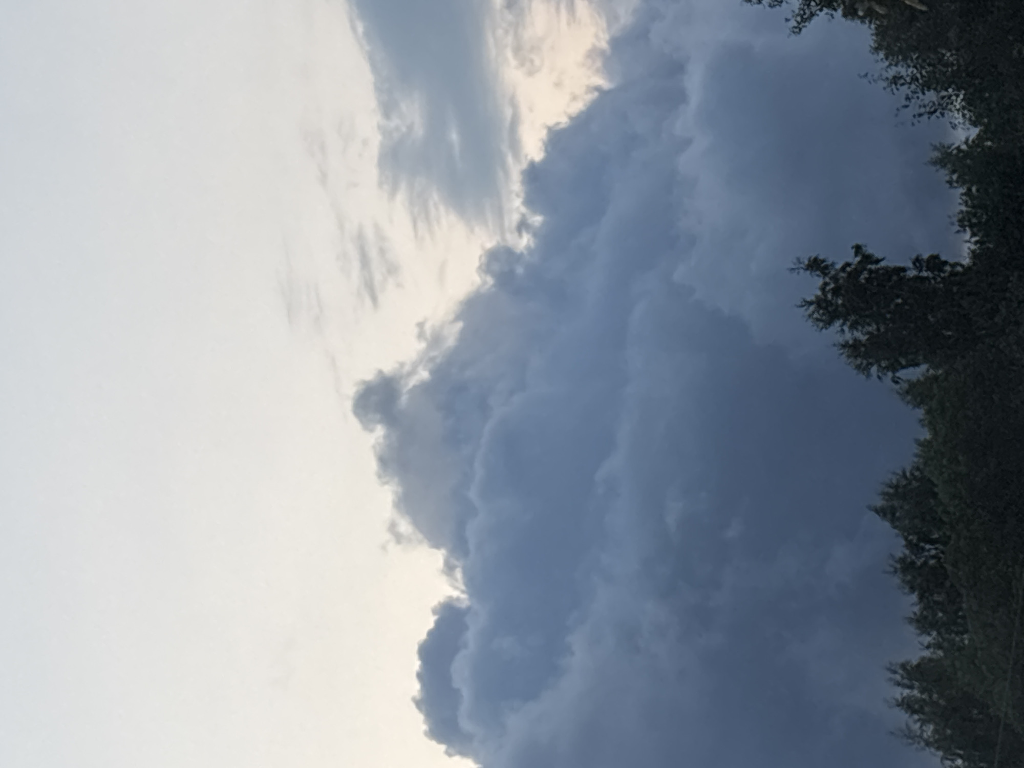 A wide shot captures a cloudy sky above a silhouetted line of trees. The clouds are dark and voluminous, with some lighter patches suggesting breaks in the overcast. The sky transitions from a pale, almost white hue at the top to darker grays and blues as it meets the tree line. The trees are densely packed and appear dark green or black against the sky, with the tops of a few taller trees piercing into the lower part of the cloud layer. The scene suggests either early morning or late evening, given the dim lighting. The location is identified as Unknown, Russia.